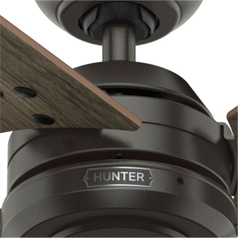 Cassius 52 Inch Ceiling Fan by Hunter Fan