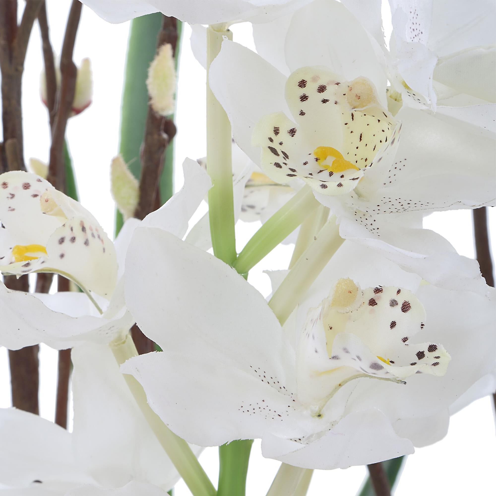 Constance Lael-Linyard Eterna Orchid Botanical by Uttermost