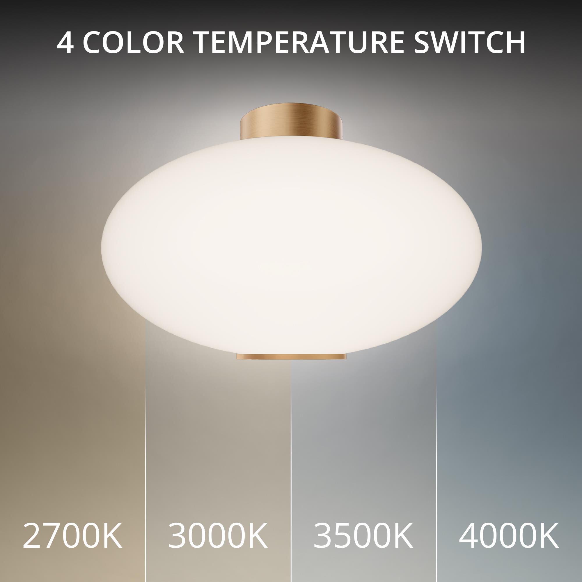 Illusion 22 Inch Flush Mount by Modern Forms