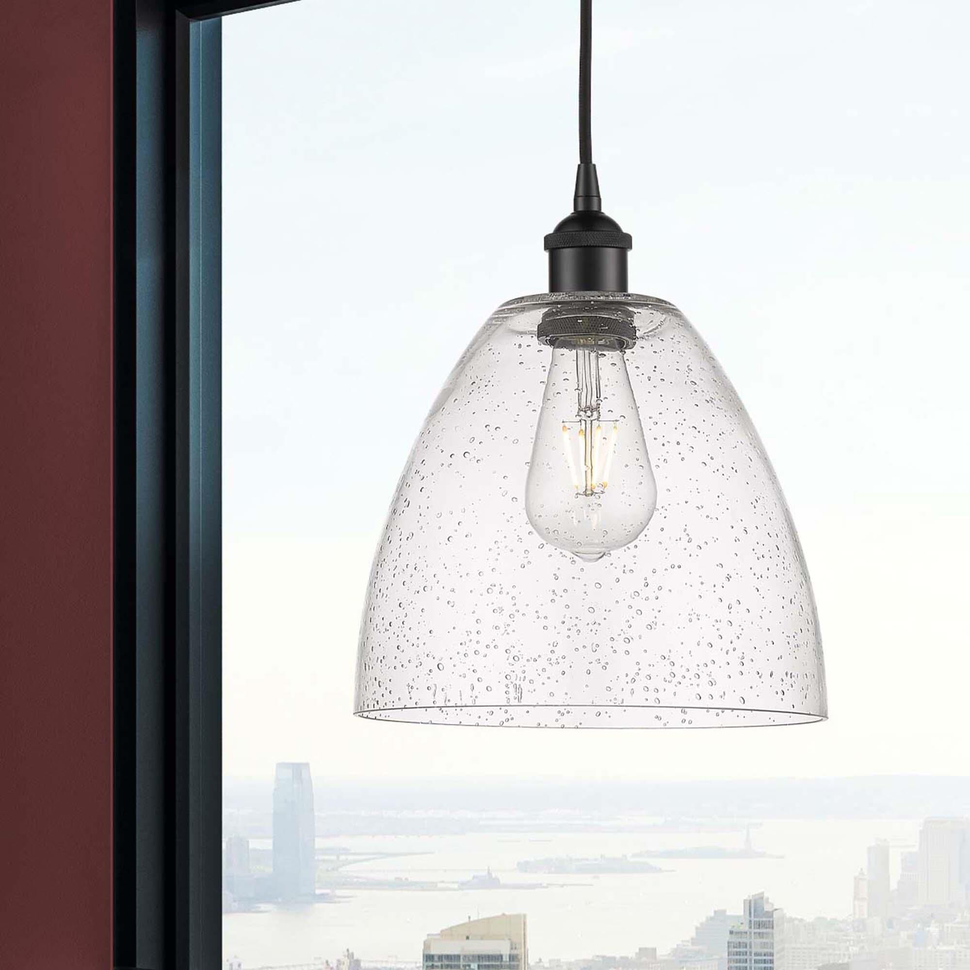 Bruno Marashlian Edison Dome 9 Inch Mini Pendant by Innovations Lighting
