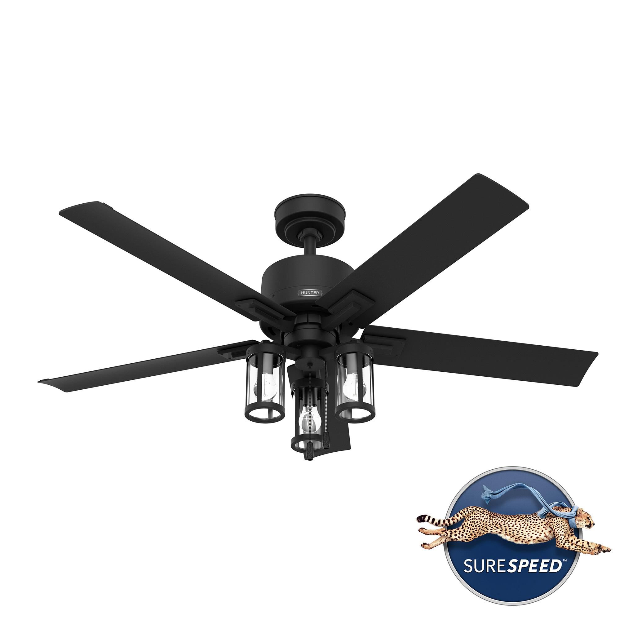 Lawndale 52 Inch Ceiling Fan with Light Kit by Hunter Fan