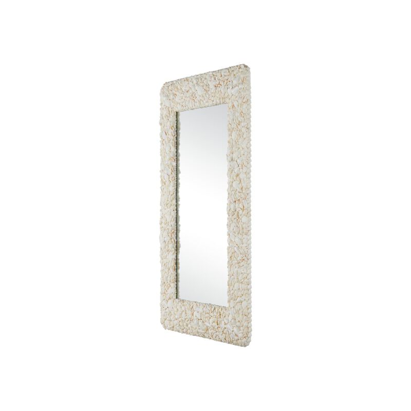 Turbinella 33 Inch Decorative Mirror by Currey and Company