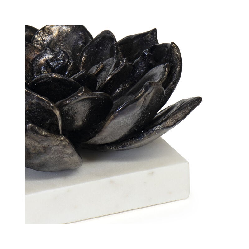 Succulent Sculpture by Regina Andrew