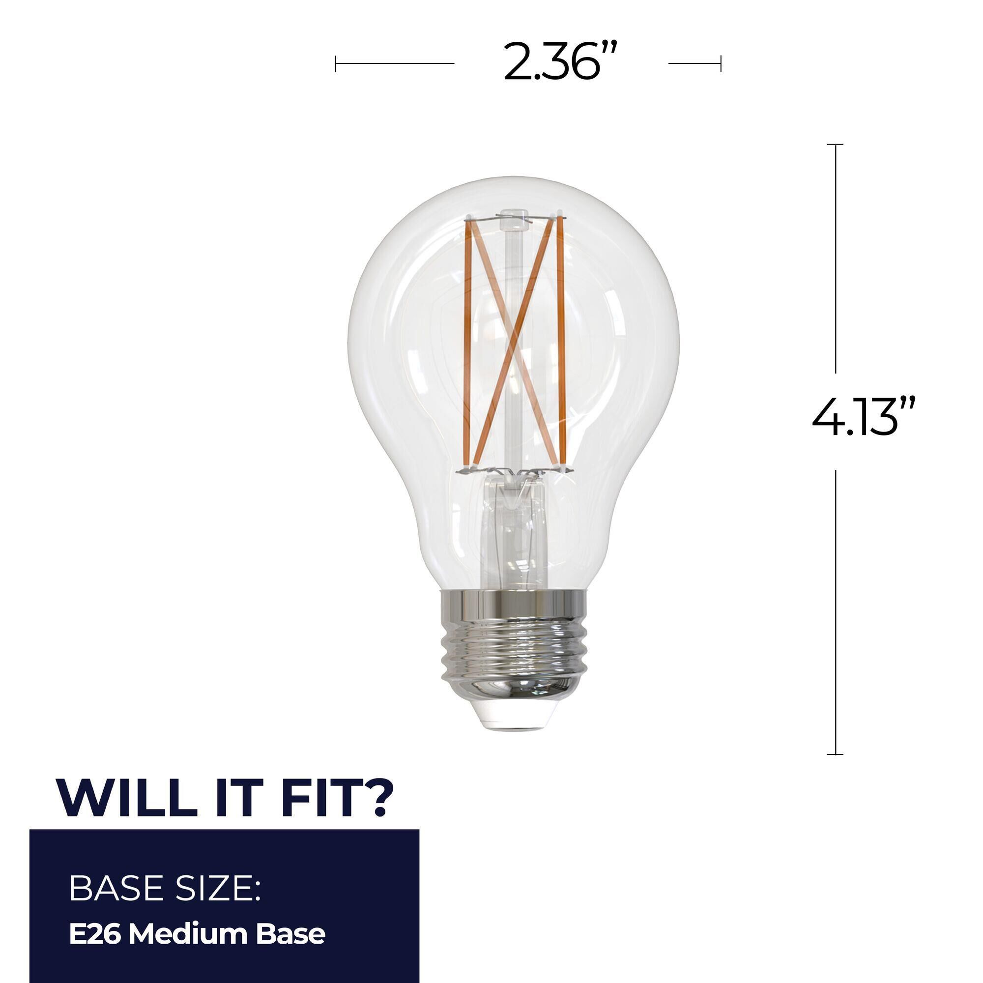 Clear A19 Base E26 5000K LED Light Bulb by Bulbrite