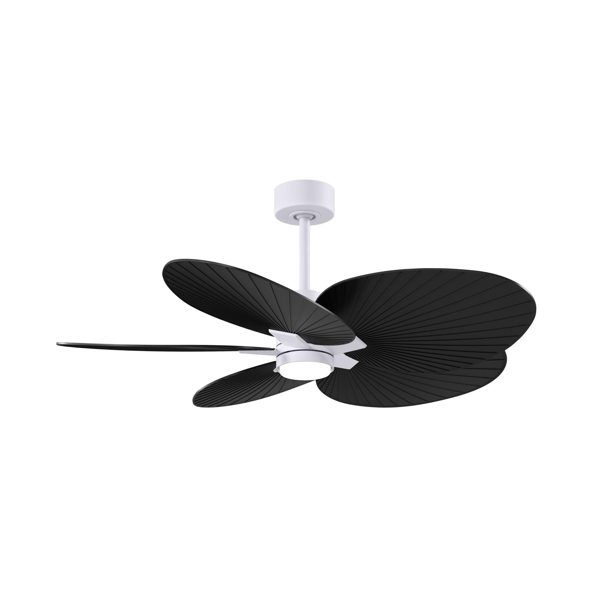 Alessandra Tropical Outdoor Rated 48 Inch Ceiling Fan with Light Kit by Matthews Fan Company