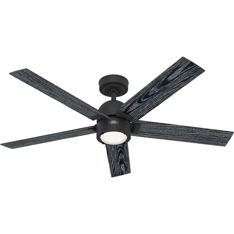 Erling 52 Inch Ceiling Fan with Light Kit by Hunter Fan