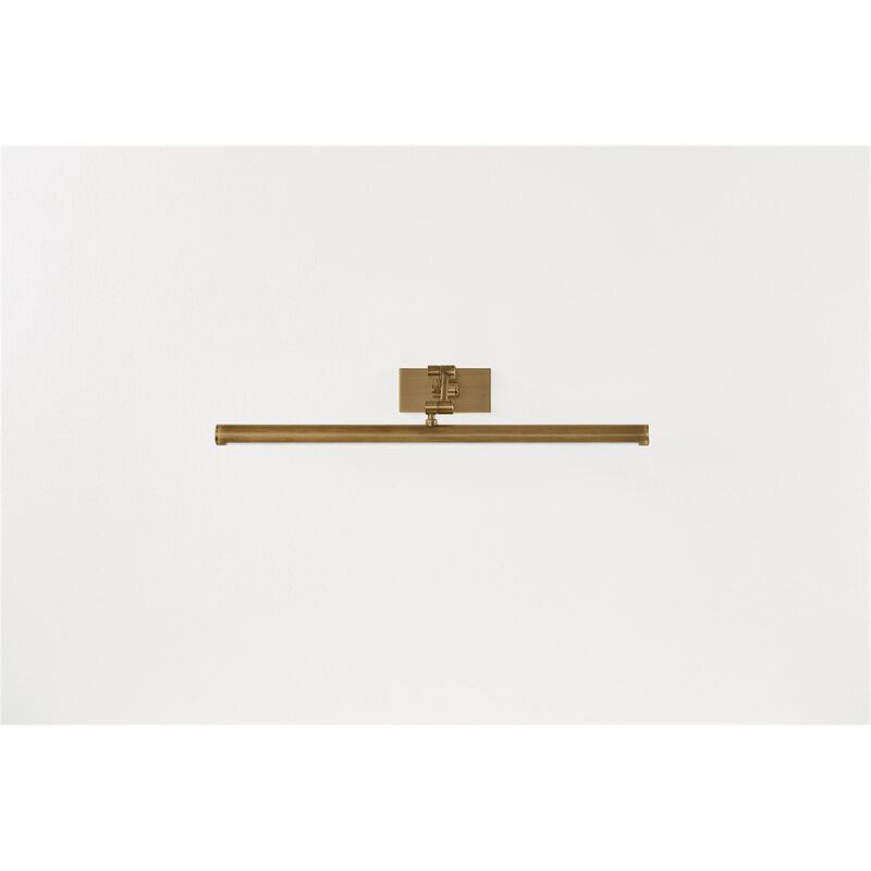 Isaac 24 Inch Picture and Display Light by Troy Lighting