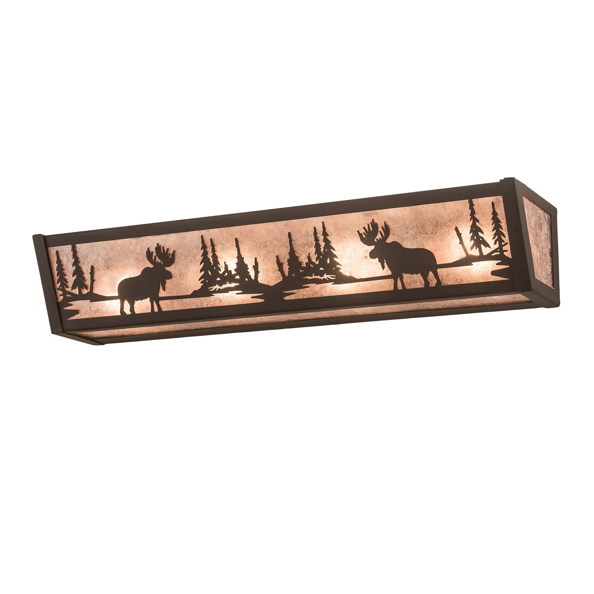 24 Inch 4 Light Bath Vanity Light by Meyda Lighting