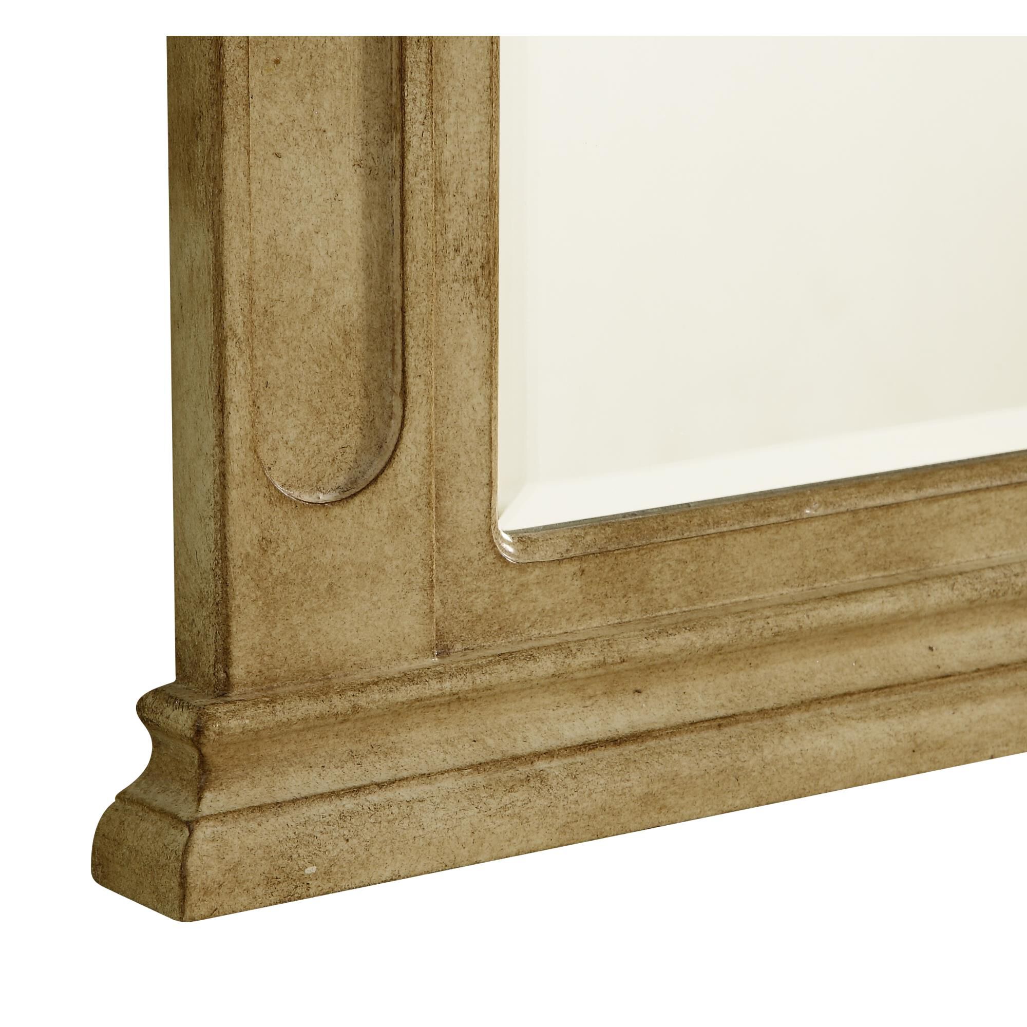 Danville Decorative Mirrors by Elegant Decor