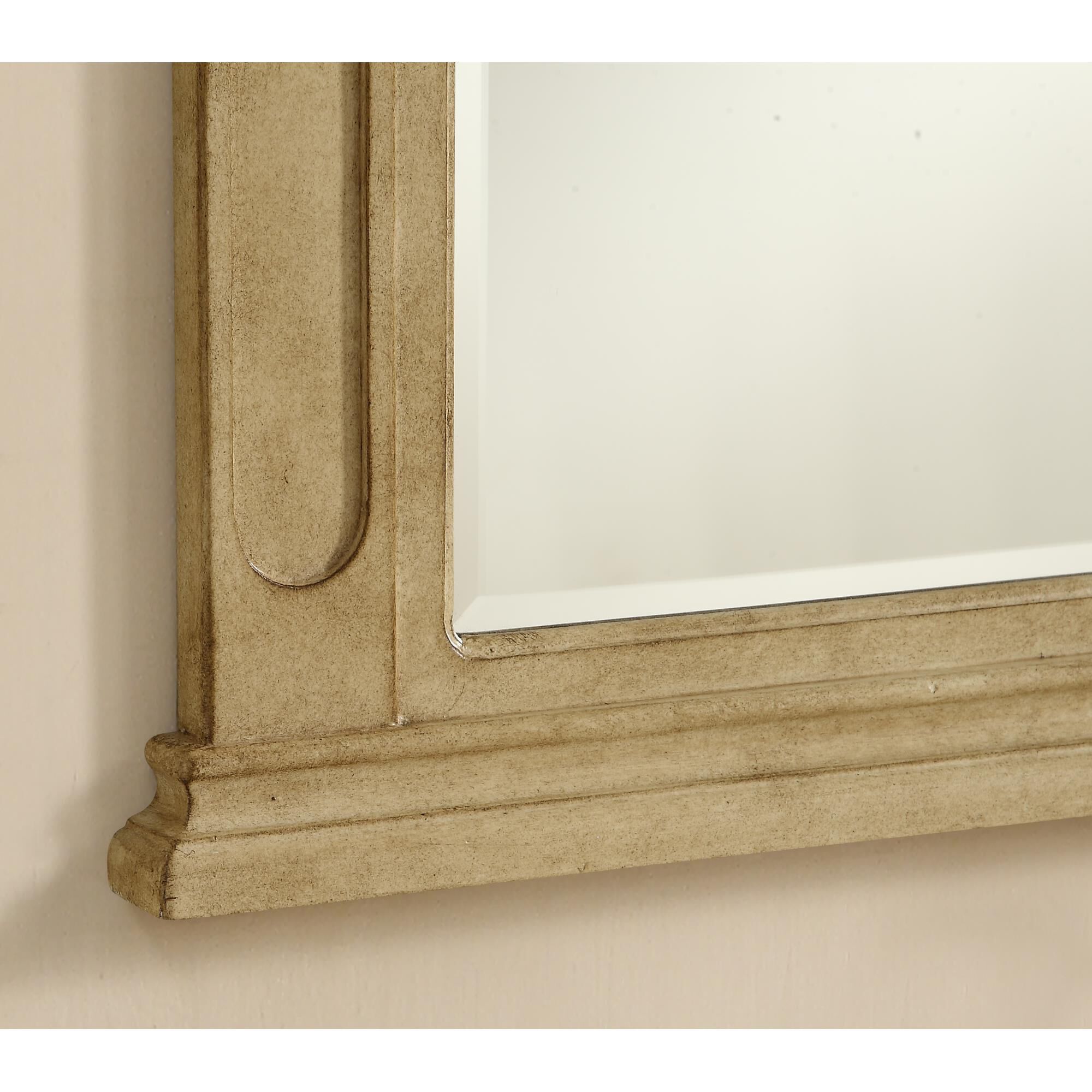 Danville Decorative Mirrors by Elegant Decor