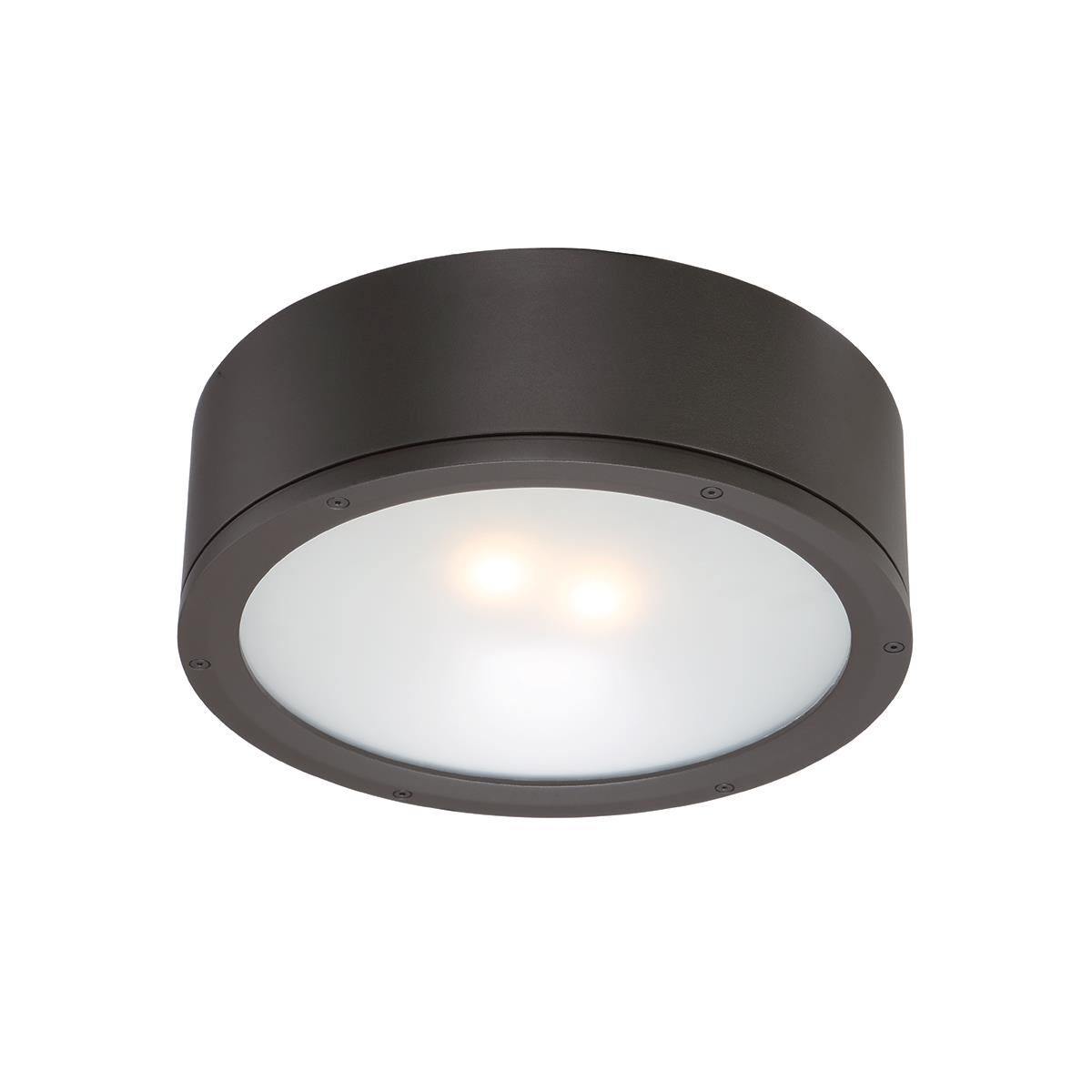 WAC Lighting 12 Inch LED Outdoor Flush Mount