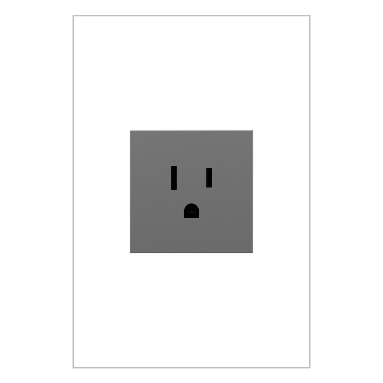 Adorne Electrical Outlet by Legrand