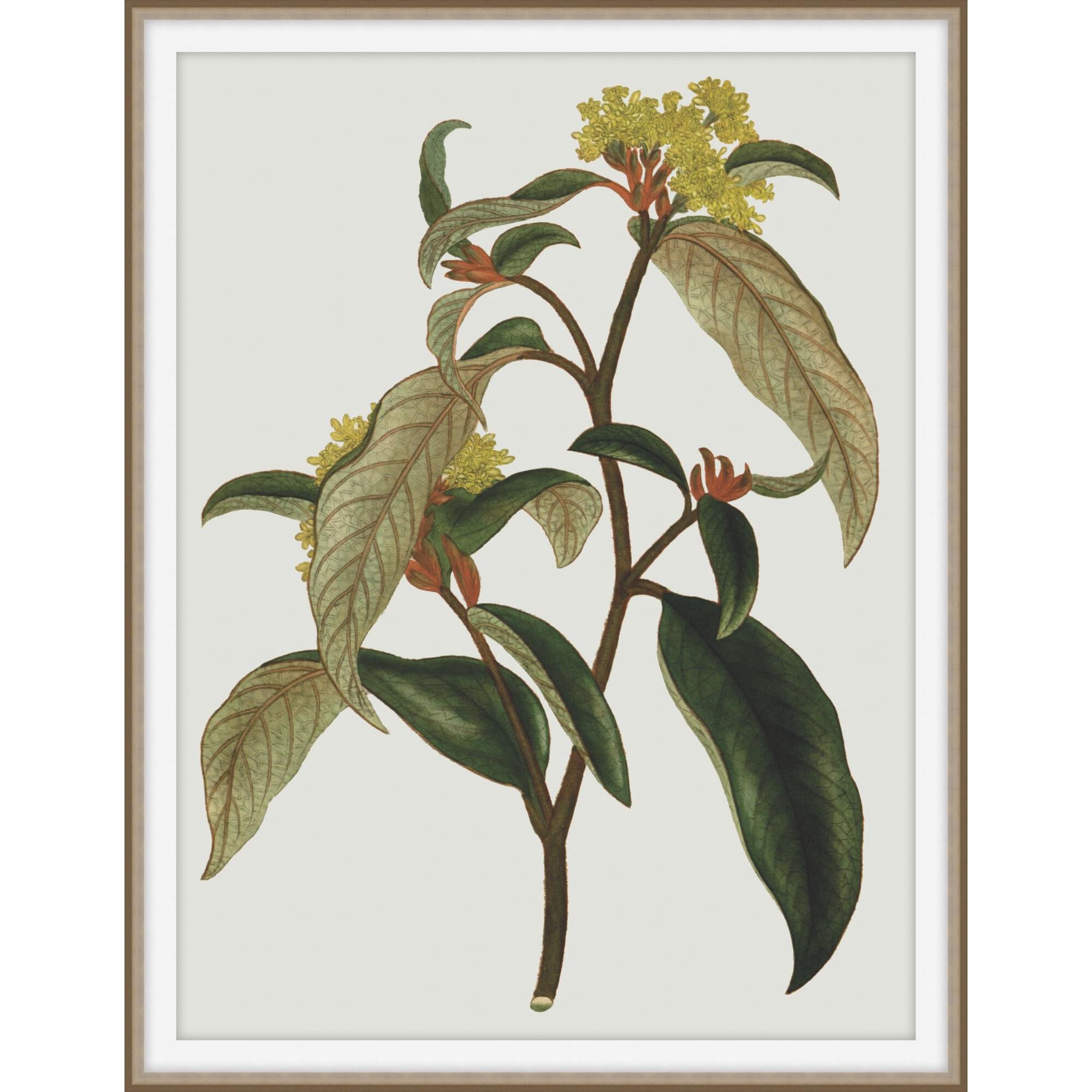 Studio L57 Nouvelle Inviting Bounties Print by LEVEL57