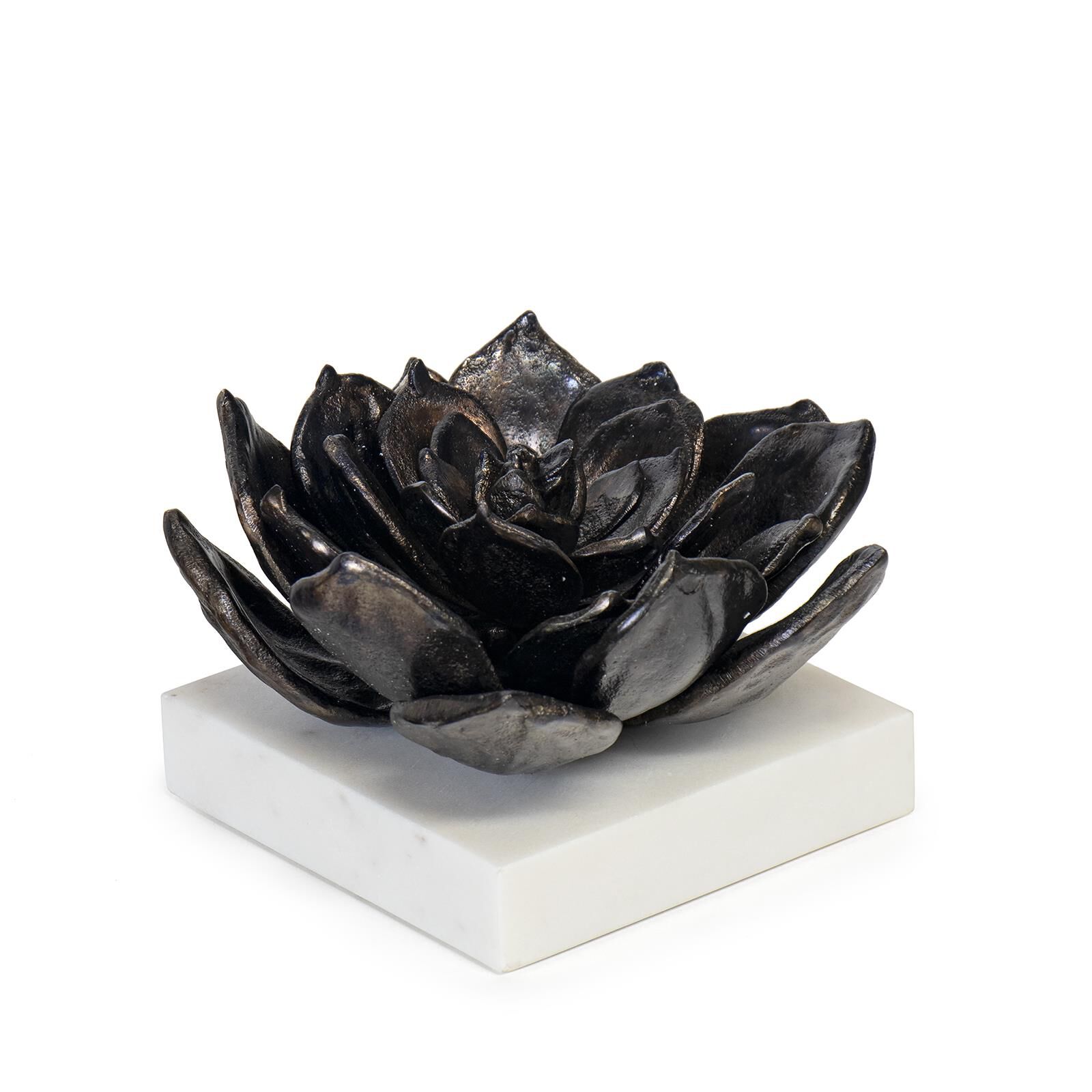 Succulent 8 Inch Sculpture by Regina Andrew