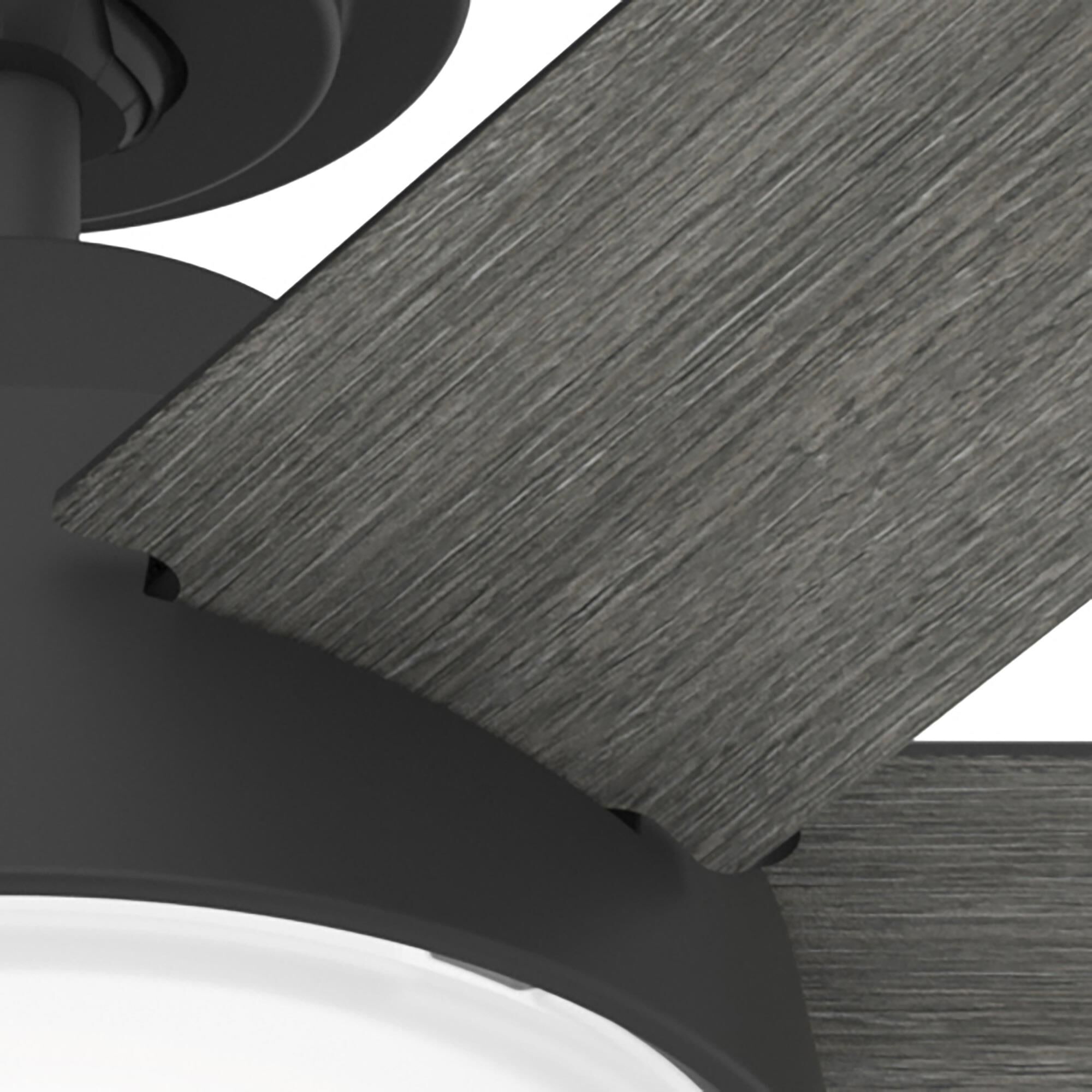 Donatella 52 Inch Ceiling Fan with Light Kit by Hunter Fan