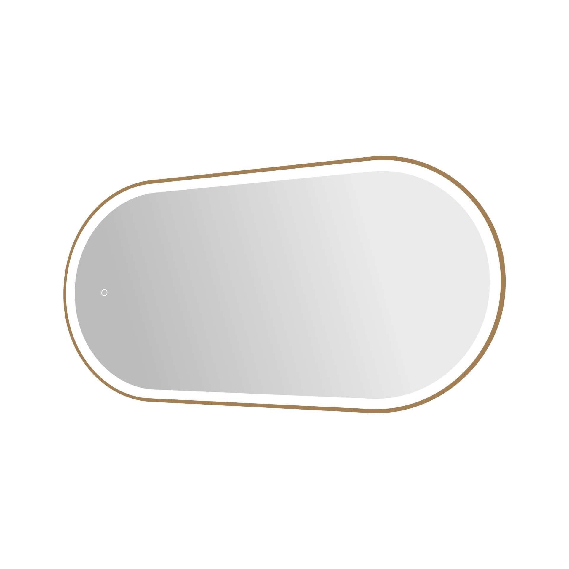 Harmoni 48 Inch Oval LED Lighted Mirror by Elegant Decor