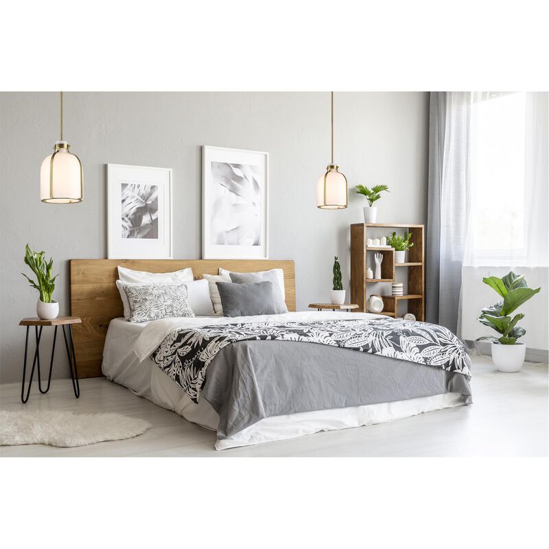 Pearson 10 Inch Chandelier by Z-Lite