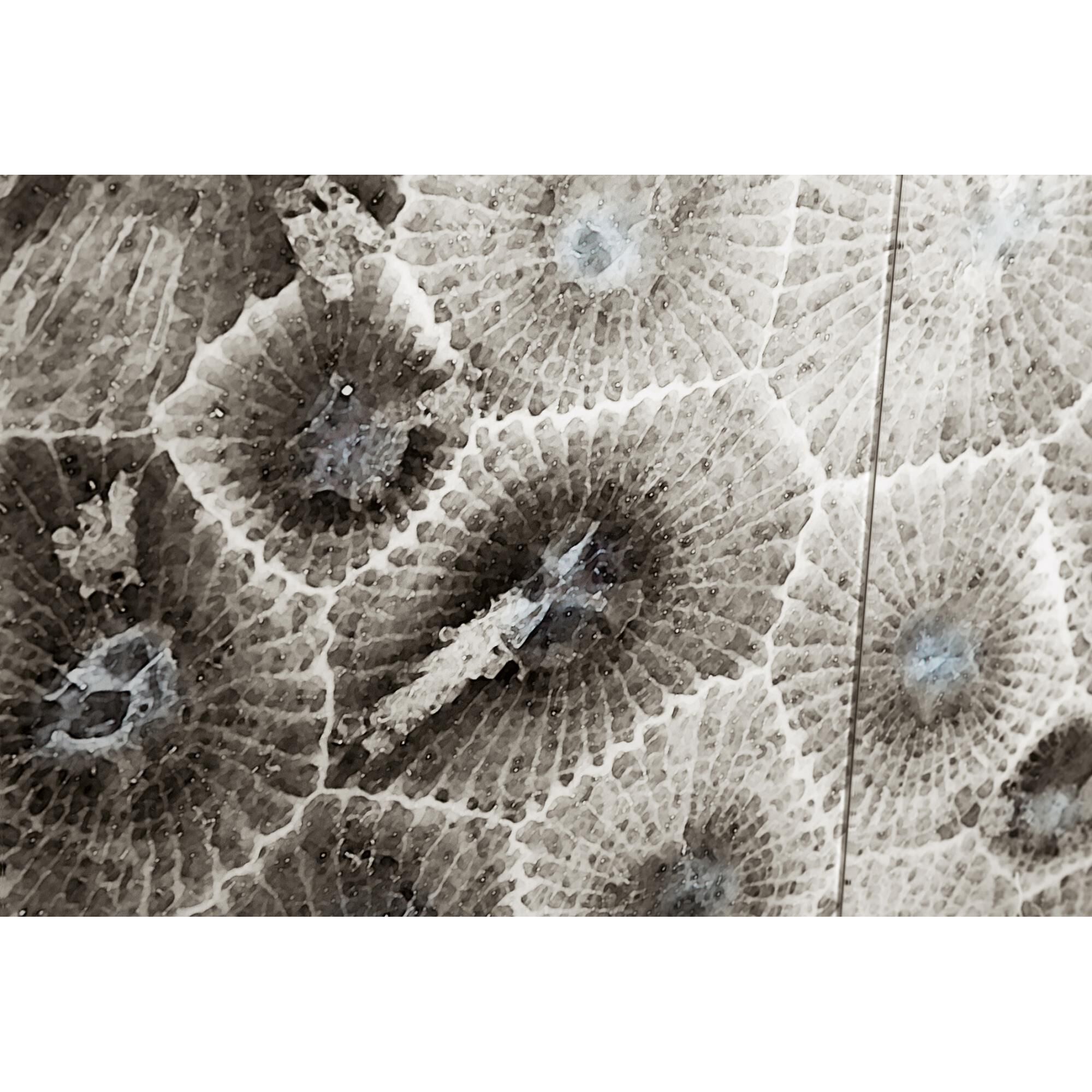 Peninsula 46 Inch Storage Cabinet by Bassett Mirror Company