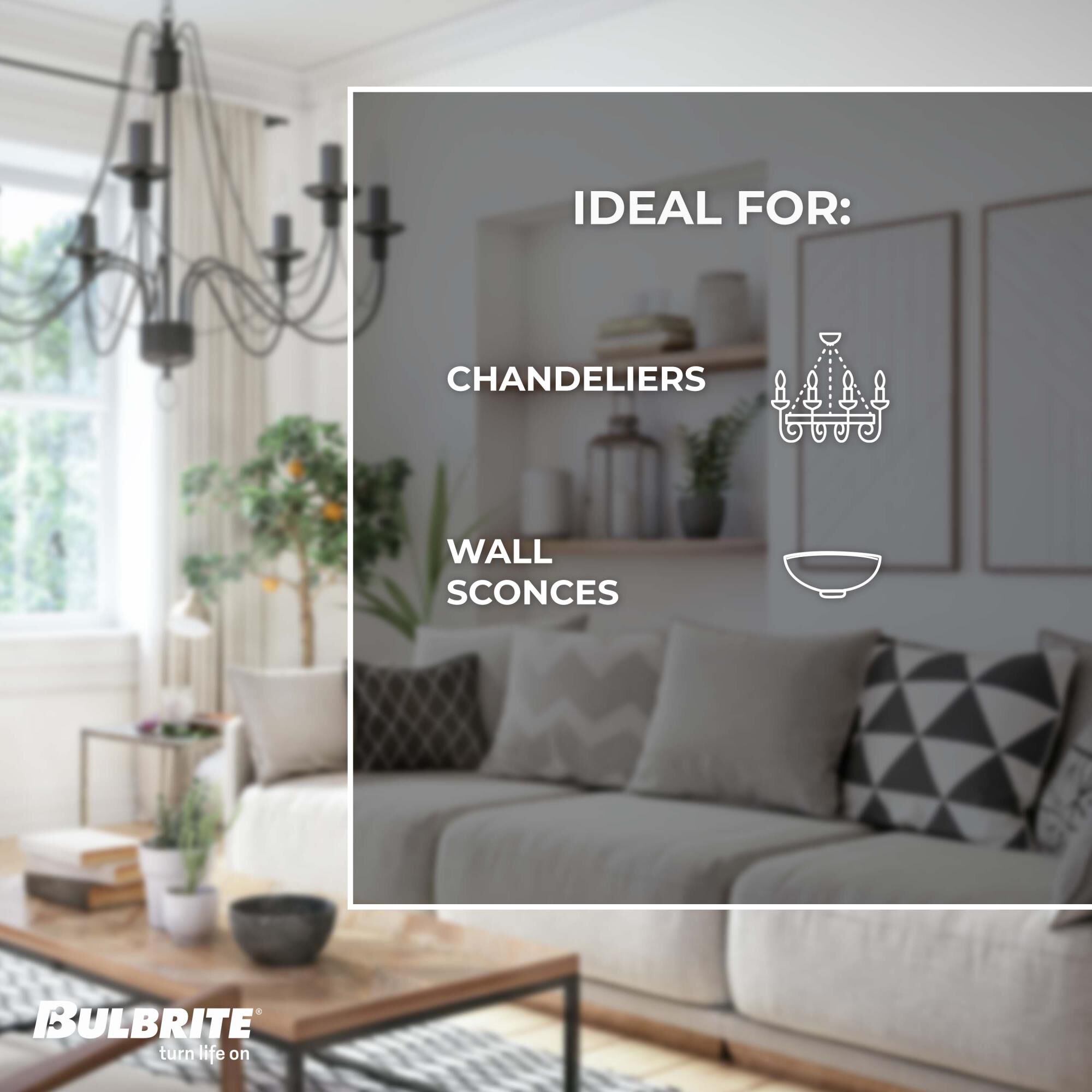 Dimmable 2.50 Watt 3000K T6 LED Light Bulb by Bulbrite