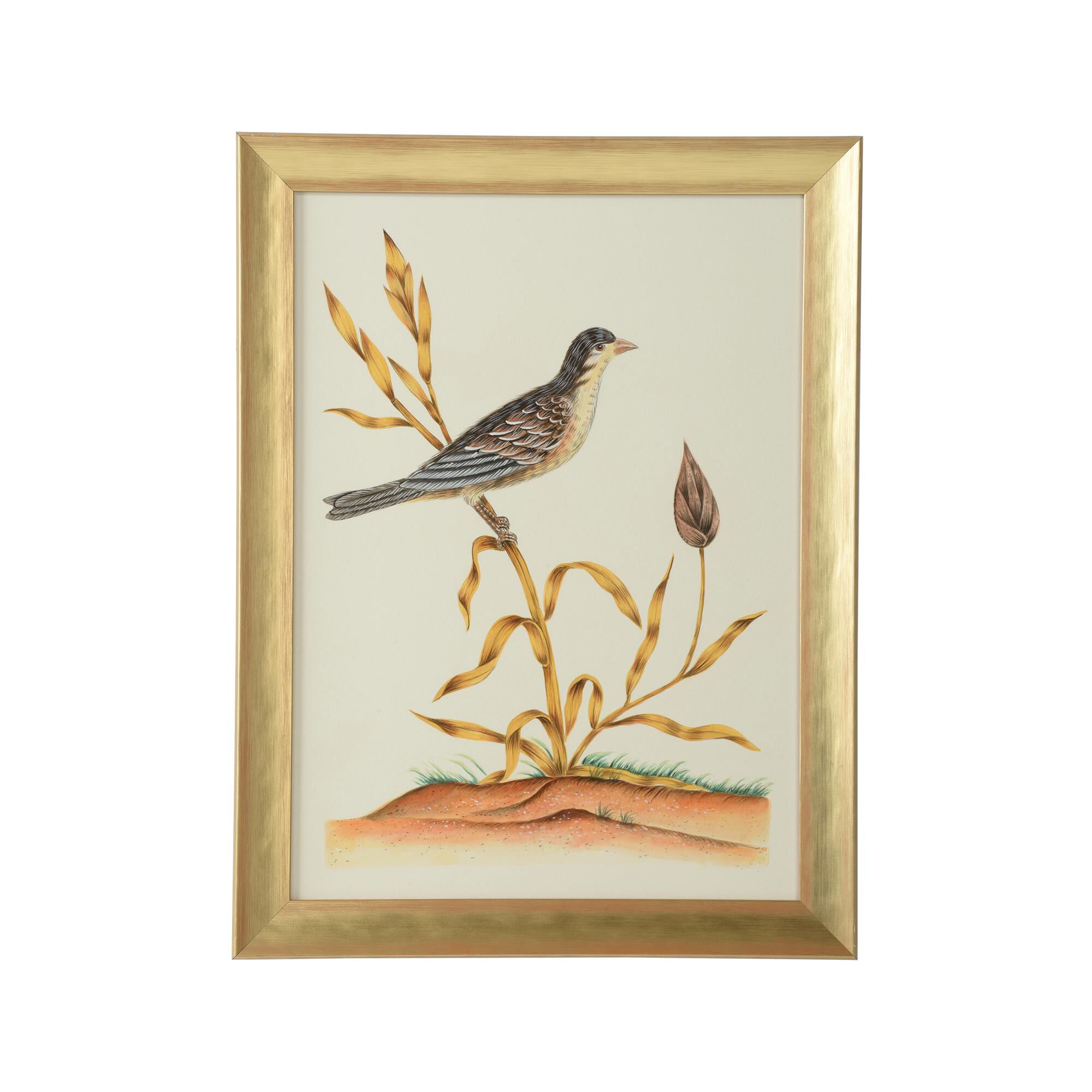 Bill Cain Watercolor Birds C Painting by Chelsea House