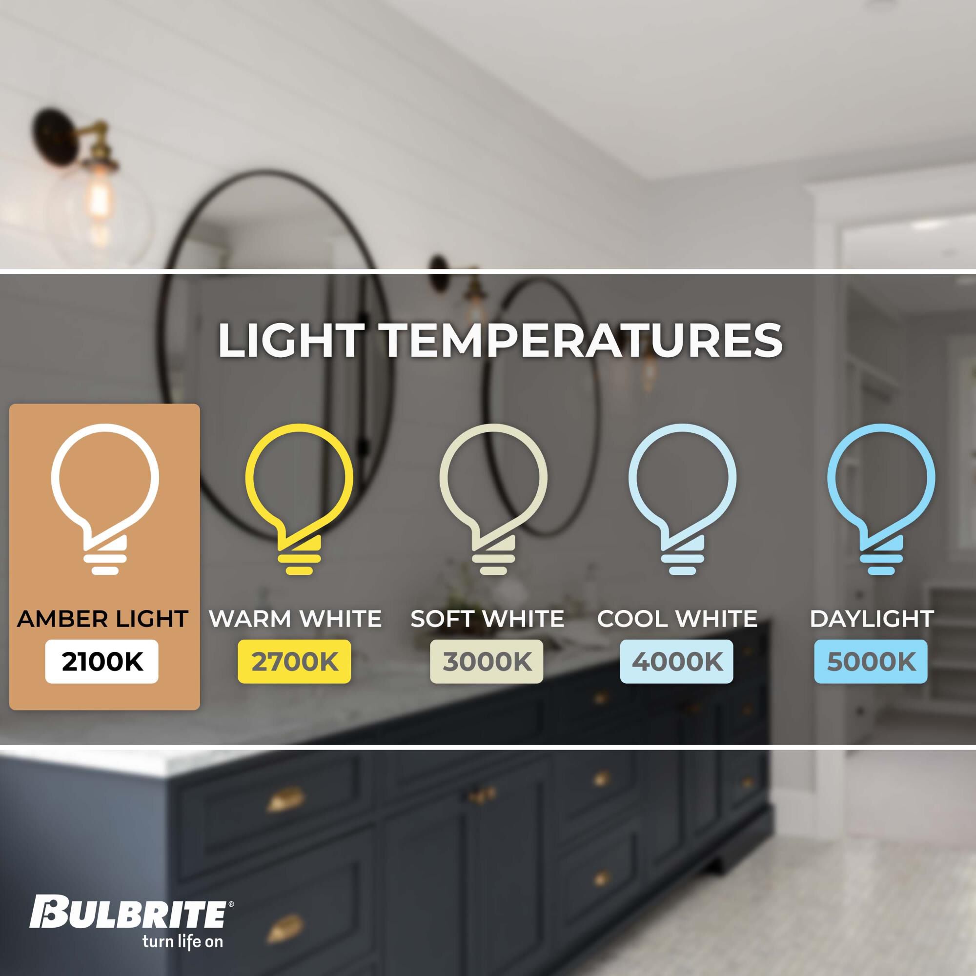40 Watt 2200K ST18 Incandescent Light Bulb,