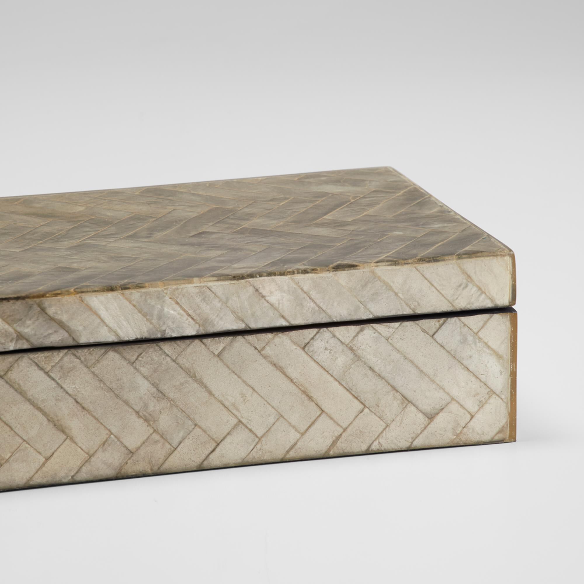 Triton 12 Inch Accent Box by Cyan Designs