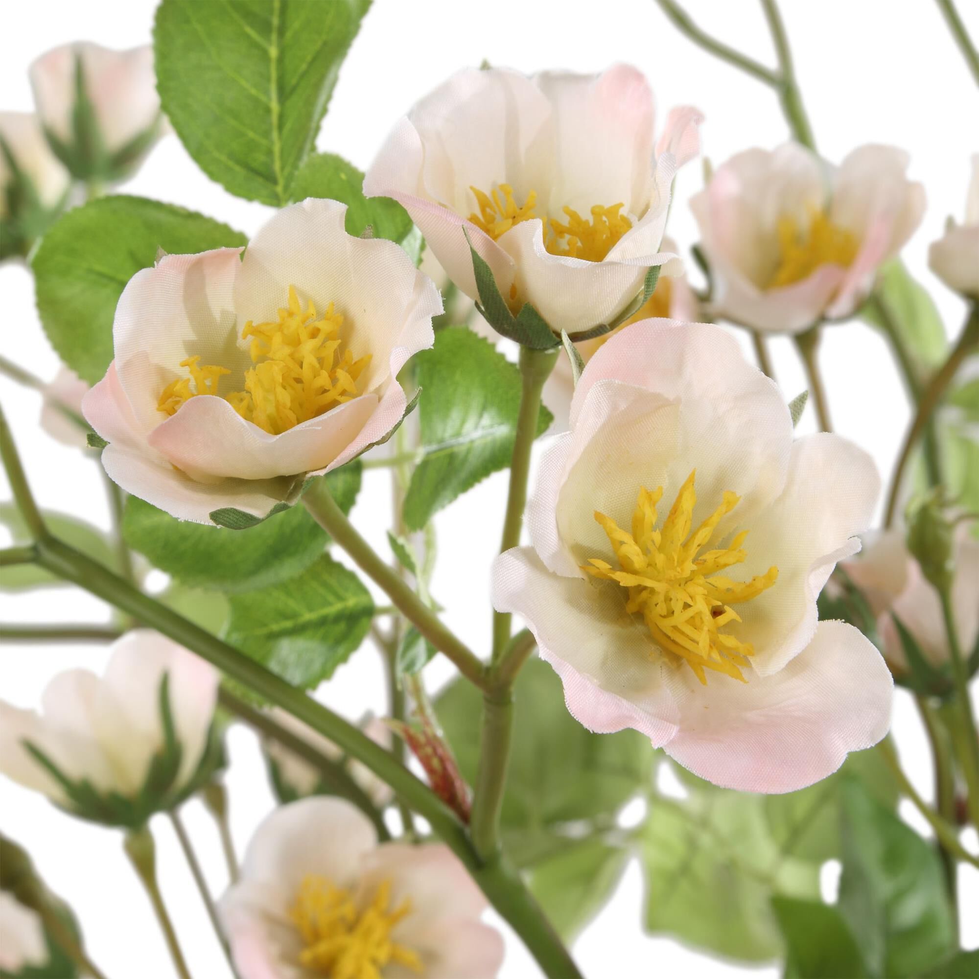 Shown in Green, Pink and Yellow finish