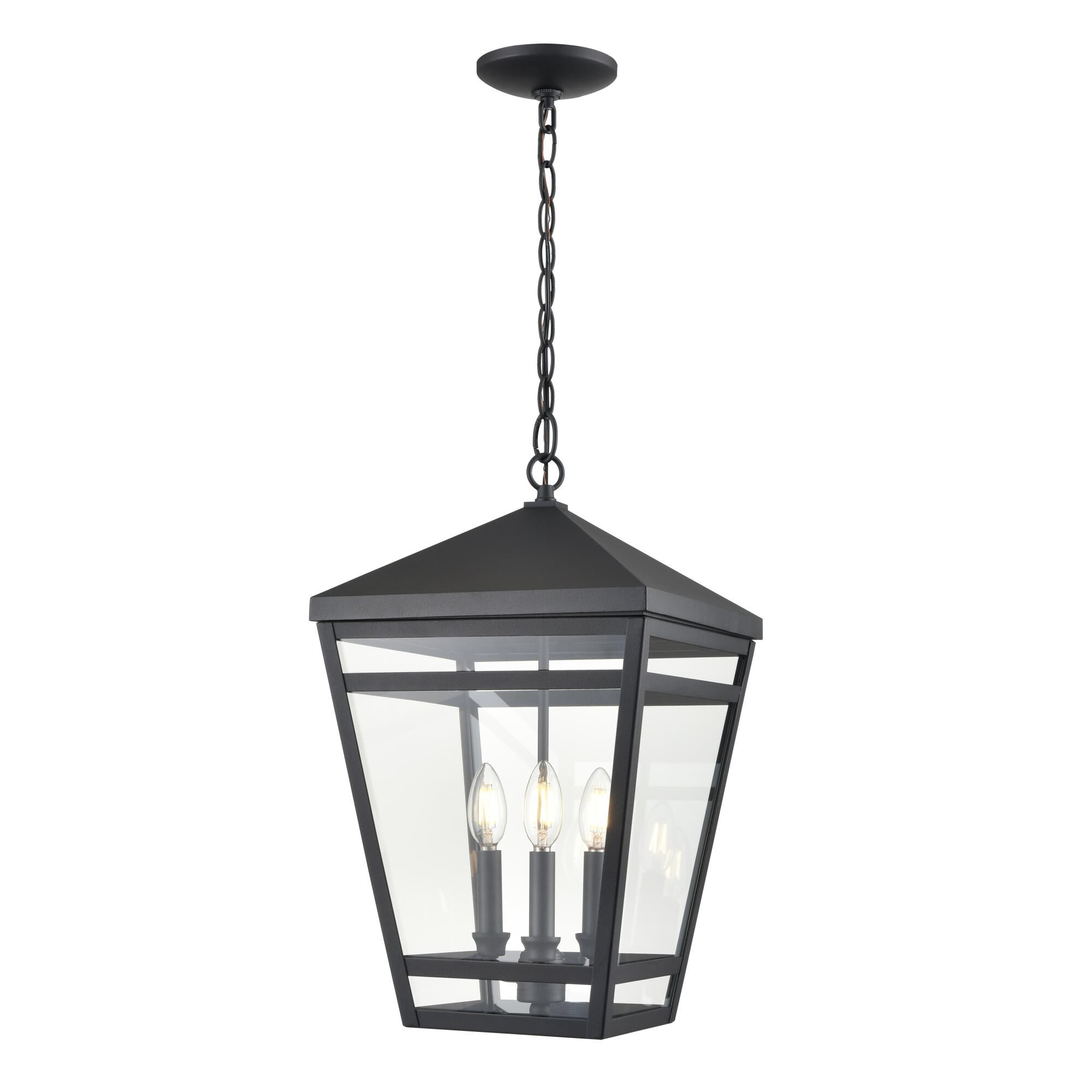Seager 12 Inch Outdoor Hanging Lantern by Millenium Lighting