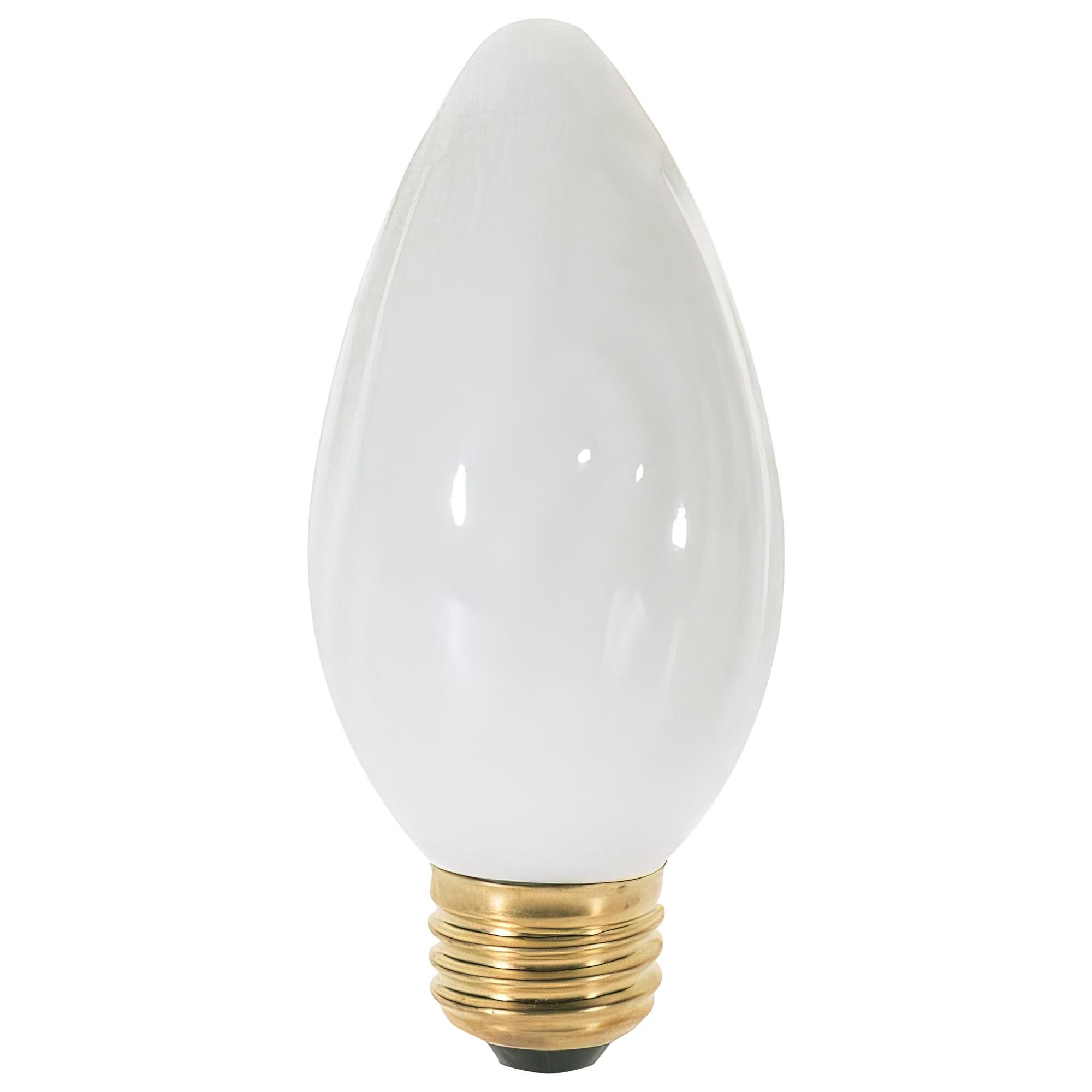 25 Watt Incandescent Light Bulb,