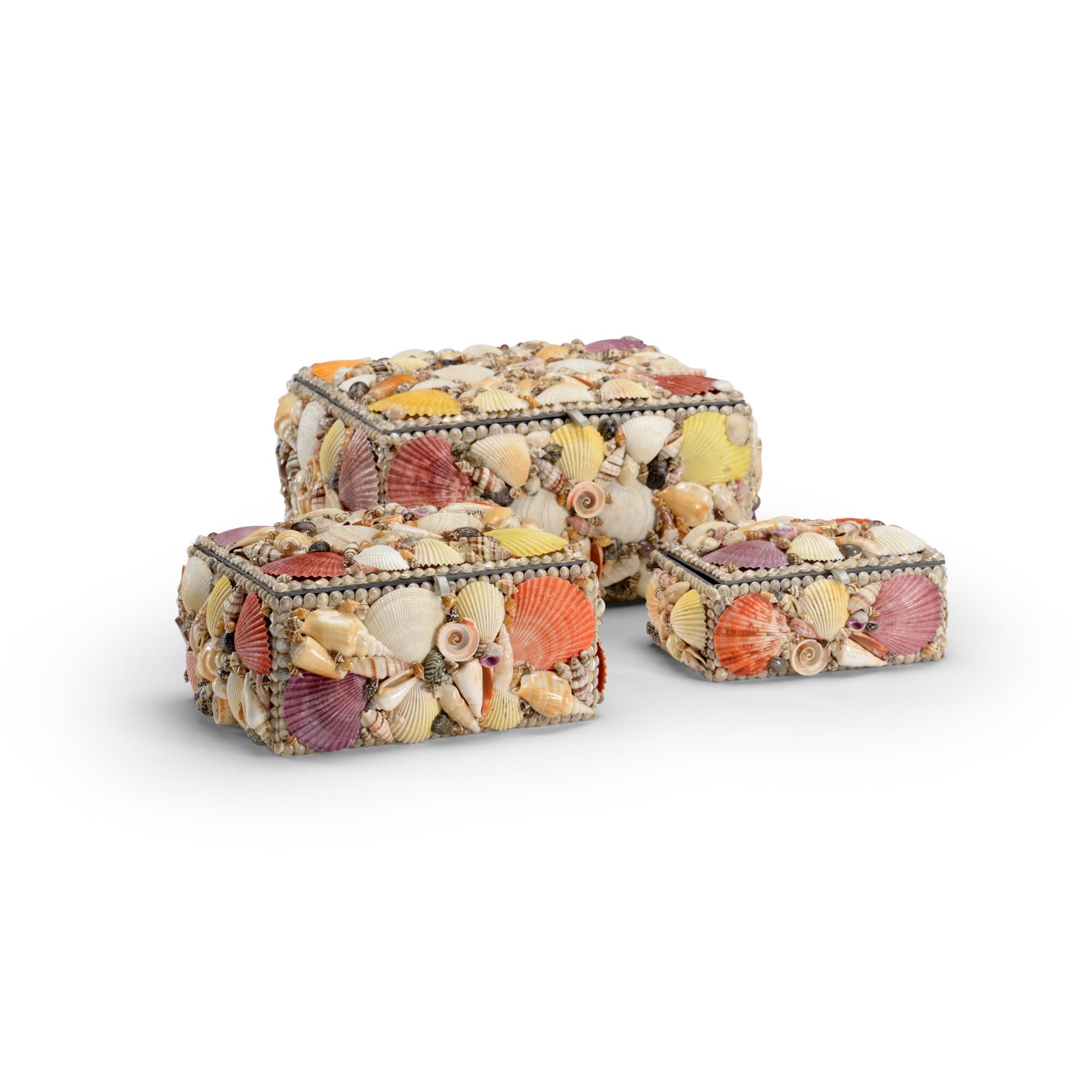 Shell Accent Box by Chelsea House