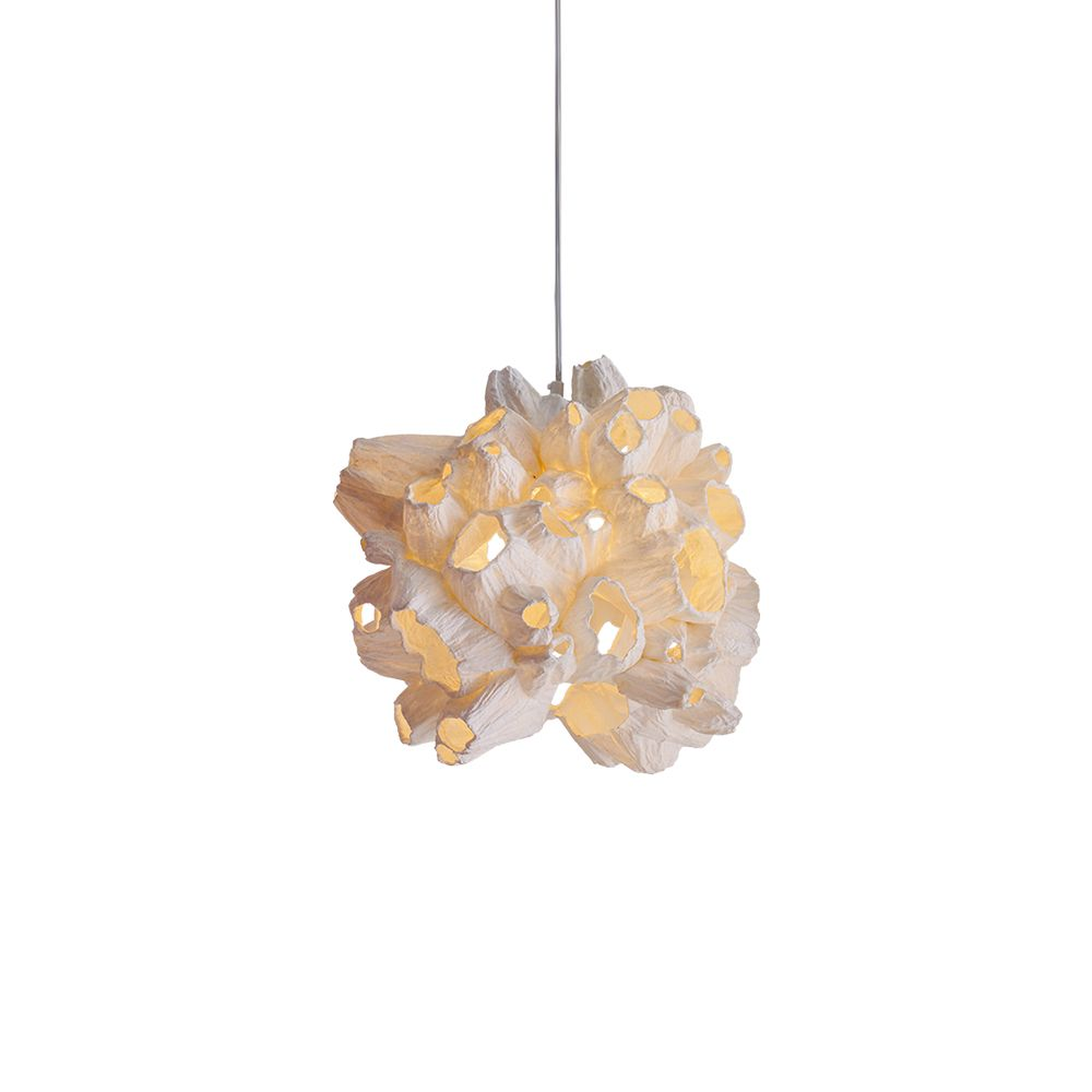 Barnacle Small Pendant Light,