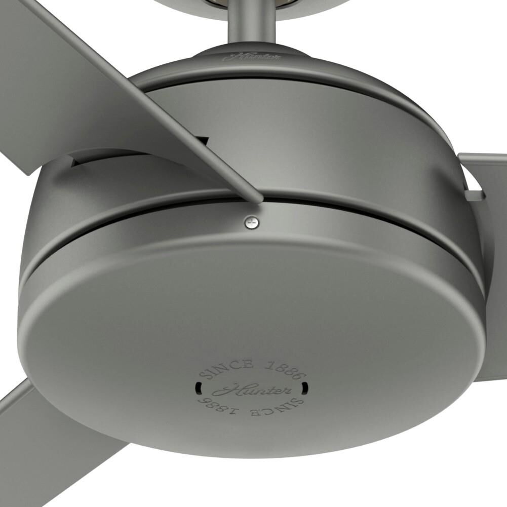 Trimaran Ceiling Fan by Hunter Fan