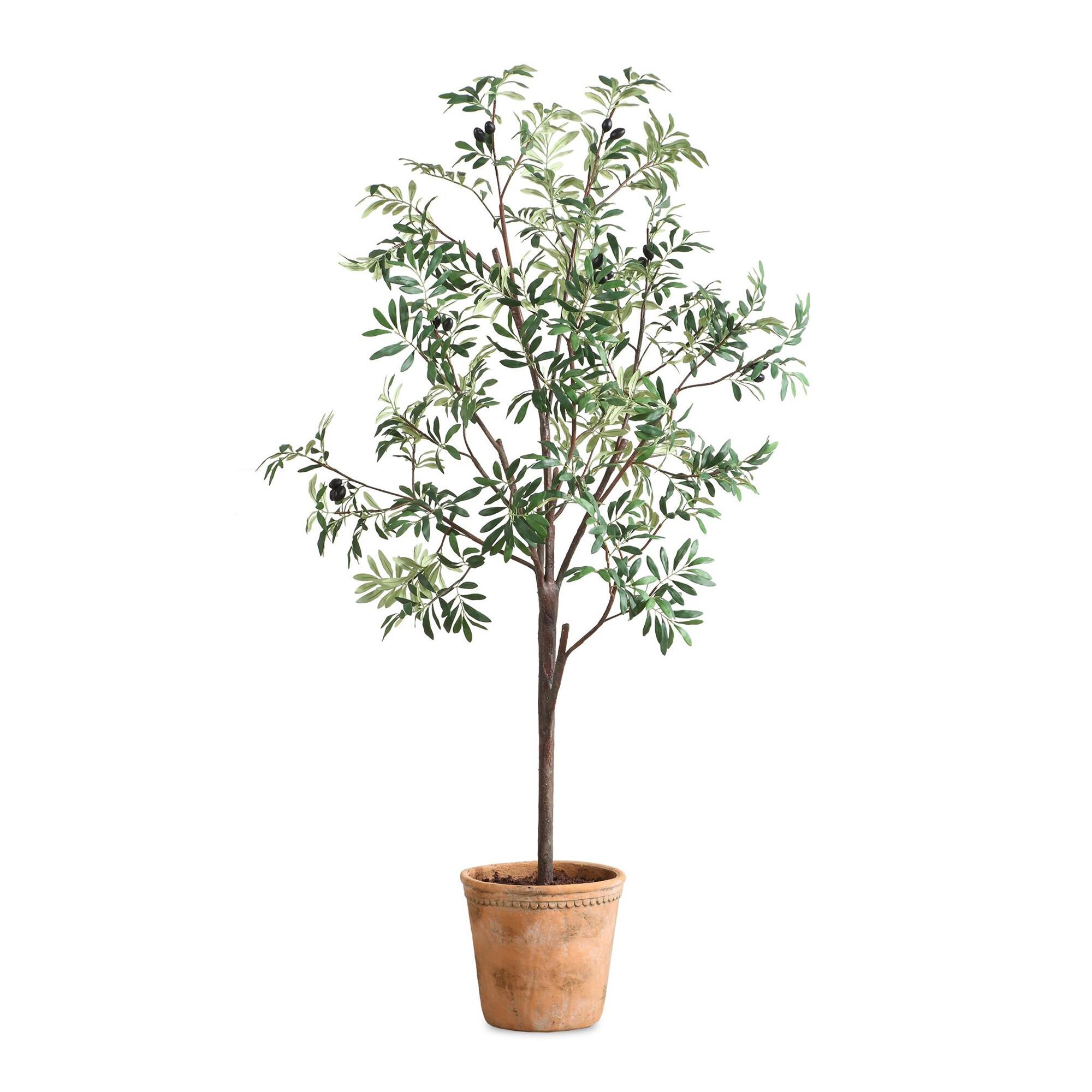 Constance Lael-Linyard Olea 67 Inch Botanical by Uttermost