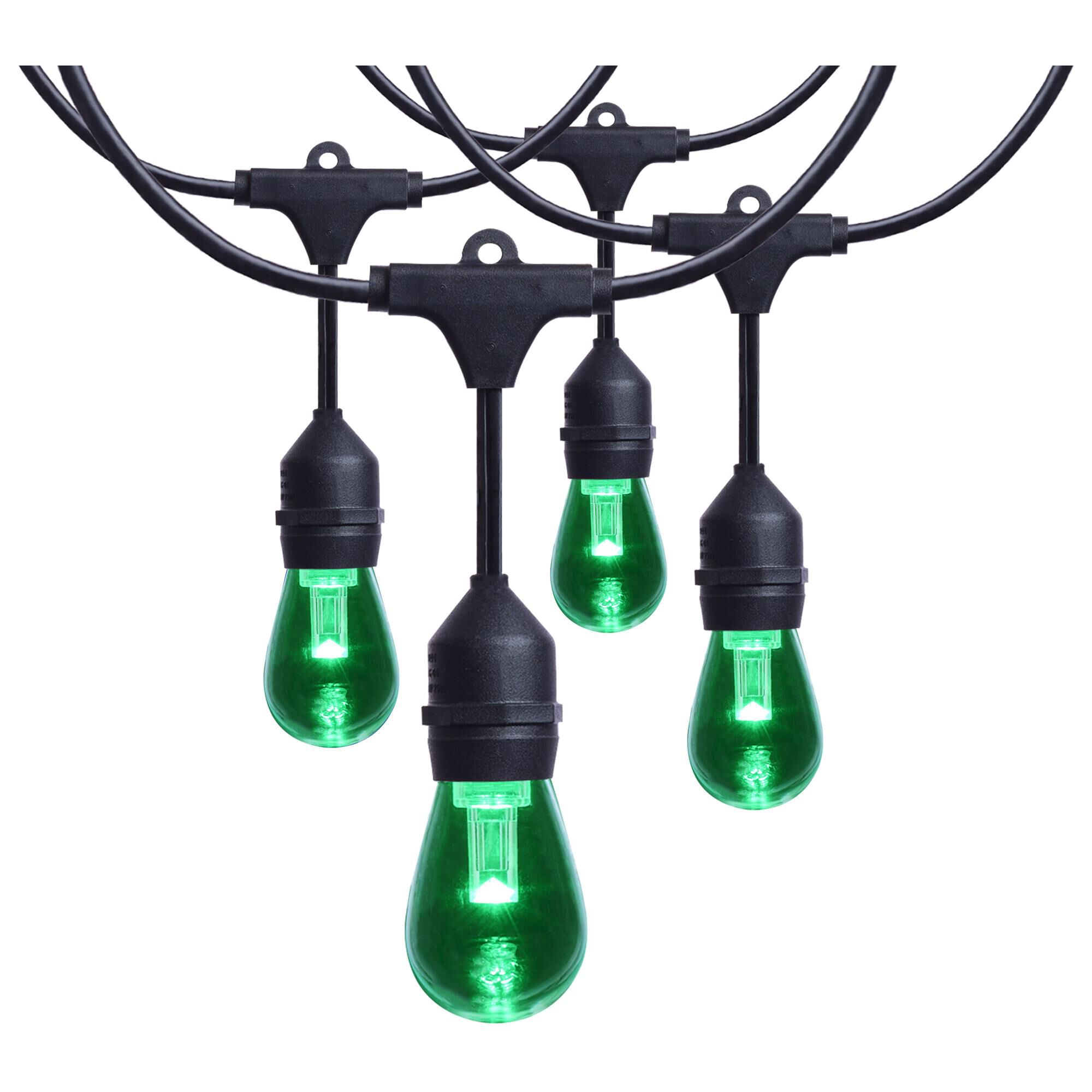 Starfish 288 Inch String Light by Satco