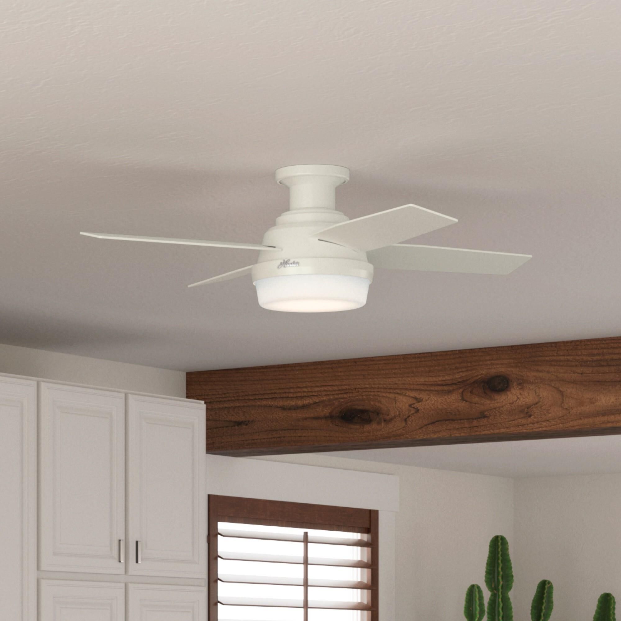 Dempsey 44 Inch Ceiling Fan with Light Kit by Hunter Fan