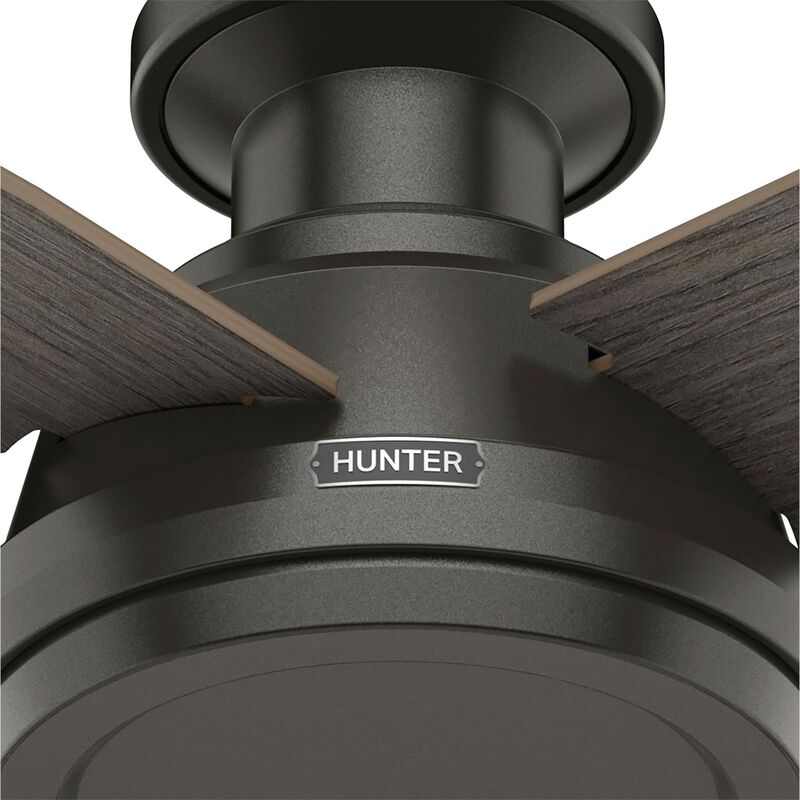 Dempsey 44 Inch Flush Mount Fan by Hunter Fan