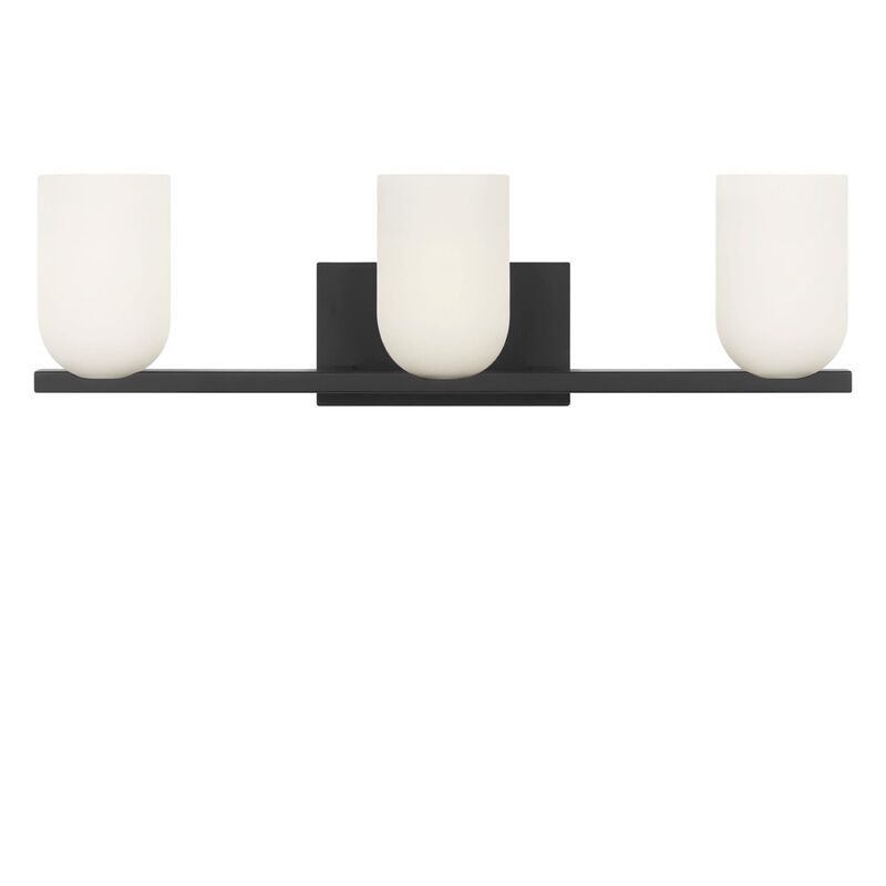 Neblina 22 Inch Bath Vanity Light by Generation Lighting