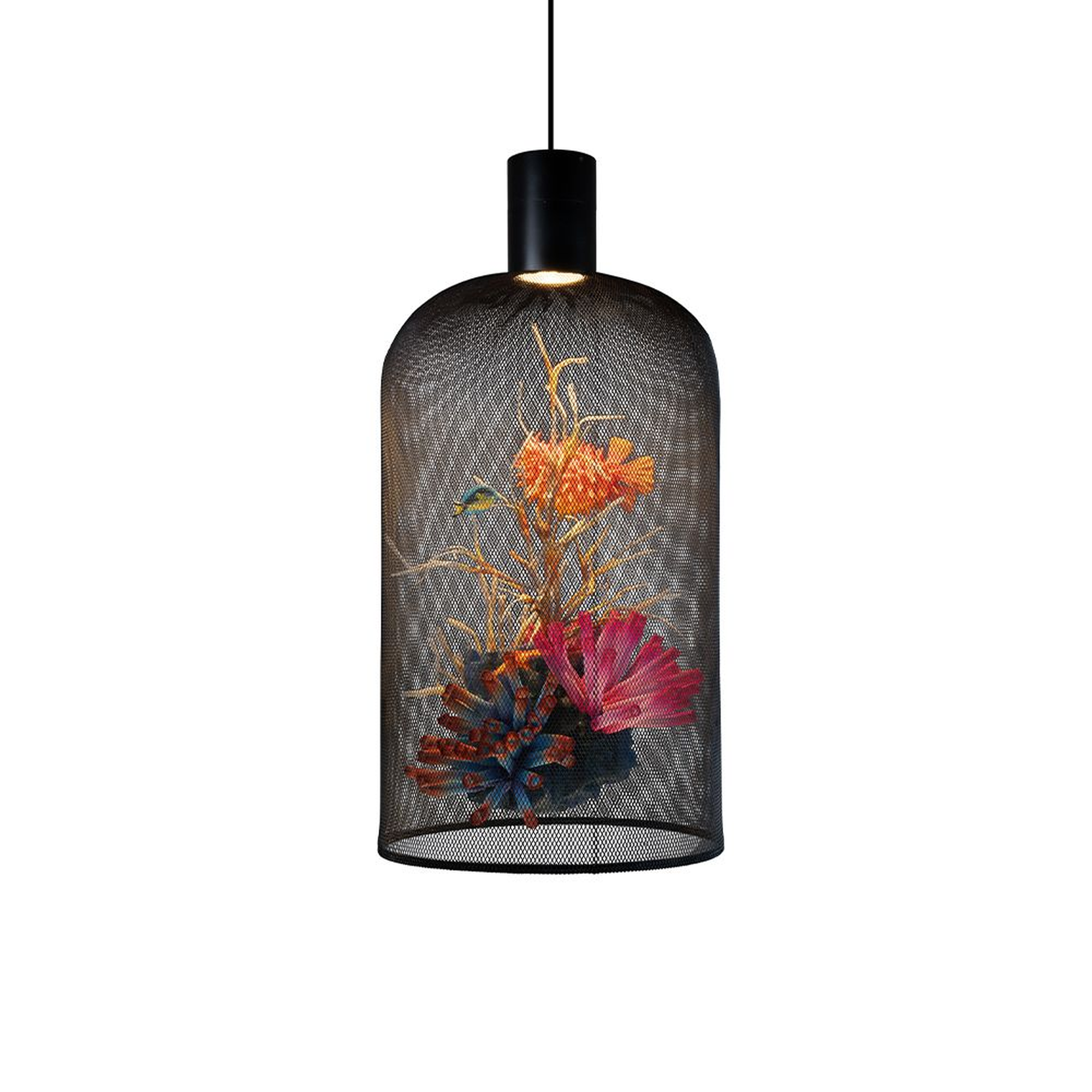 Curio 48 Inch Pendant Light,