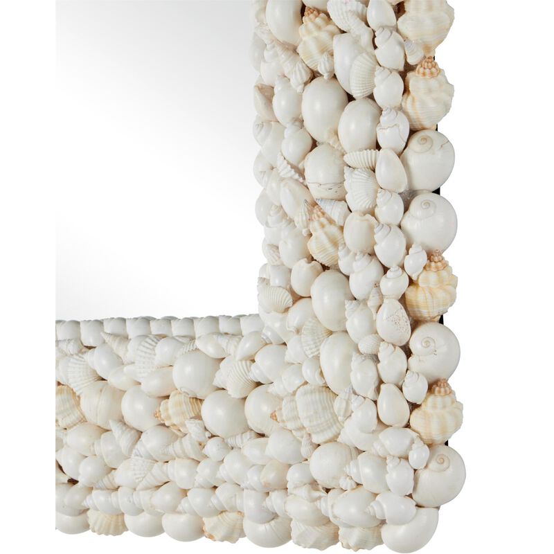 Piddock Small Decorative Mirror by Currey & Company