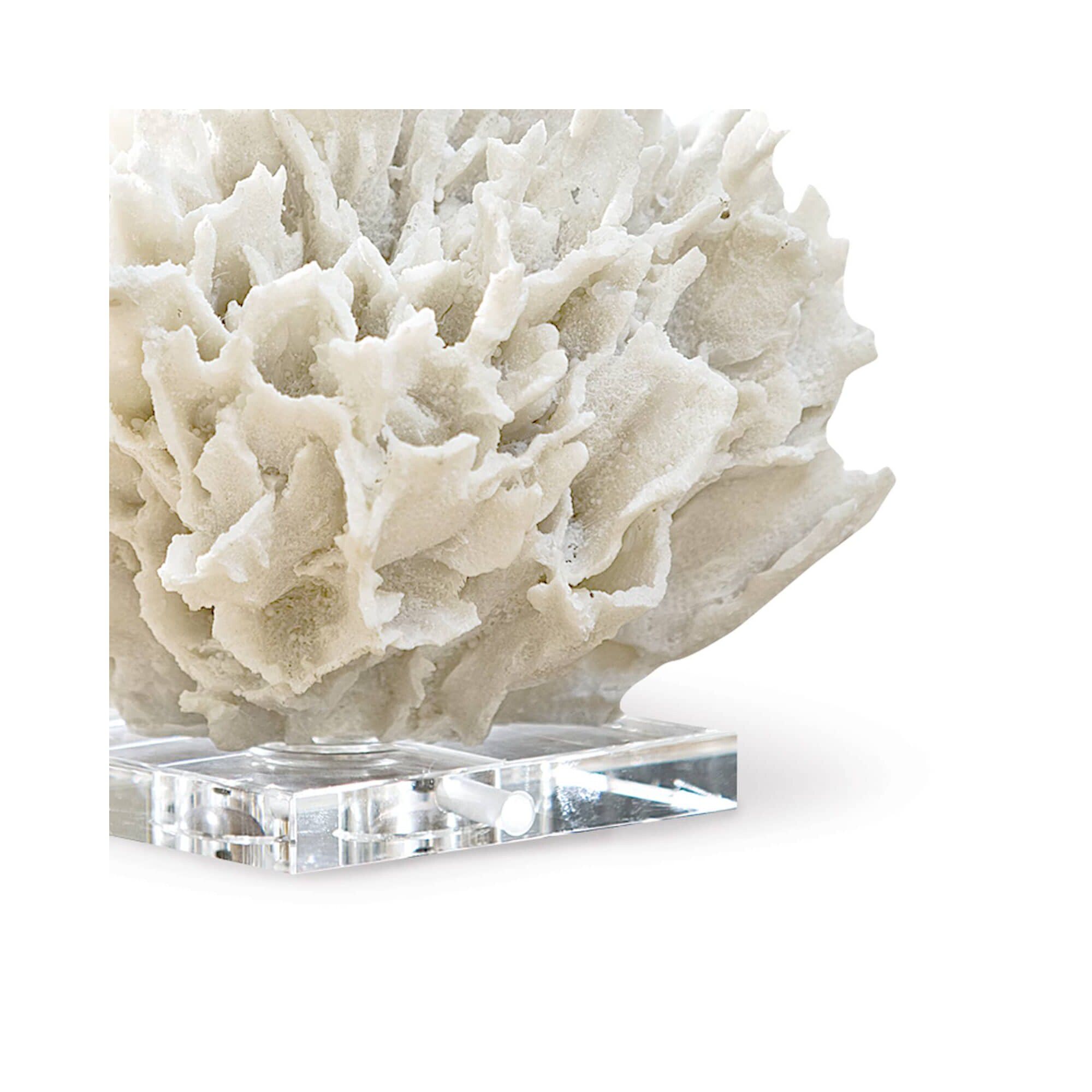 Ribbon Coral Other Table Accent by Regina Andrew