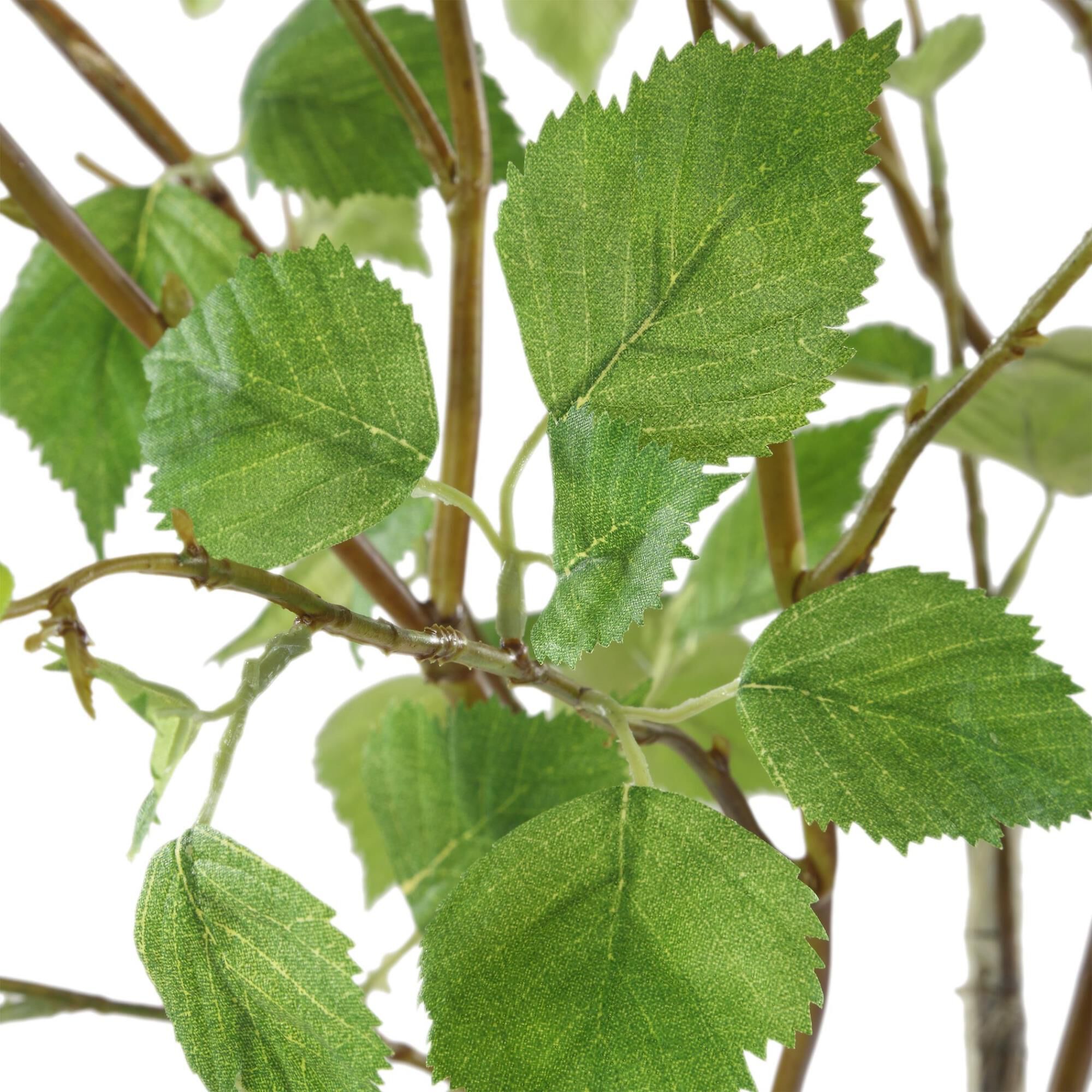 Constance Lael-Linyard Nigra 48 Inch Botanical by Uttermost