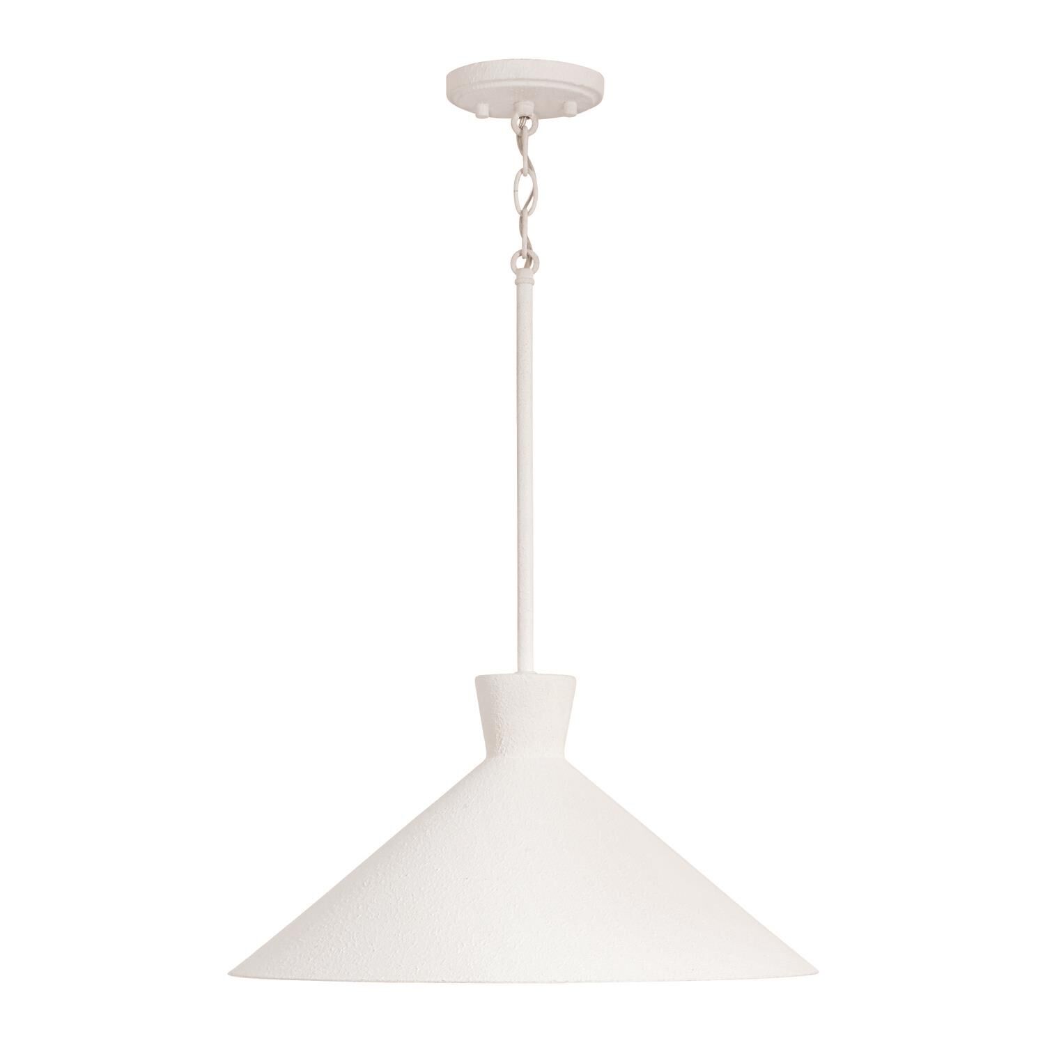 Capital Lighting Fixture Company Paloma 17 Inch Large Pendant