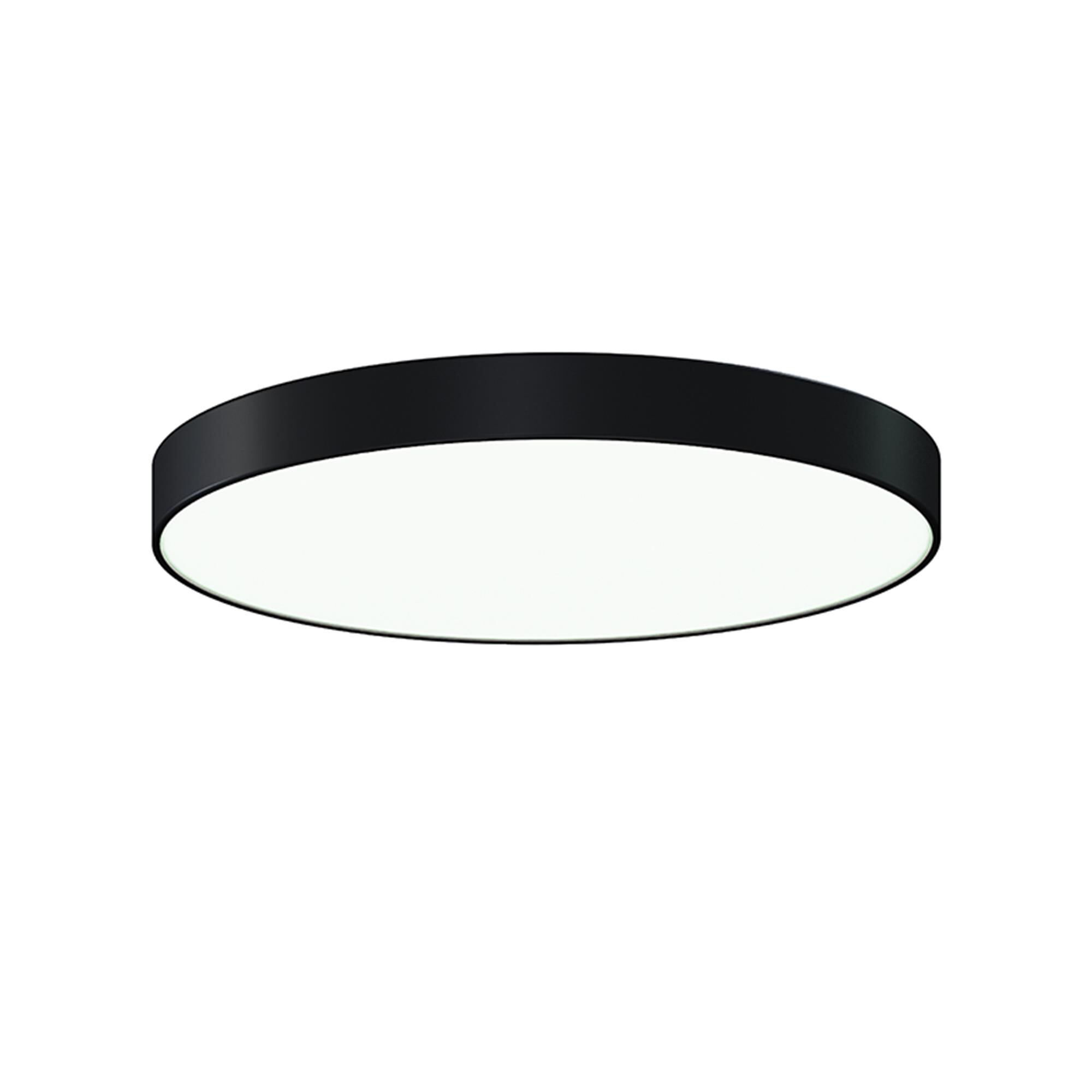 Pi 24 Inch Flush Mount,
