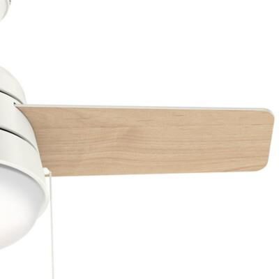 Aker 36 Inch Ceiling Fan with Light Kit by Hunter Fan