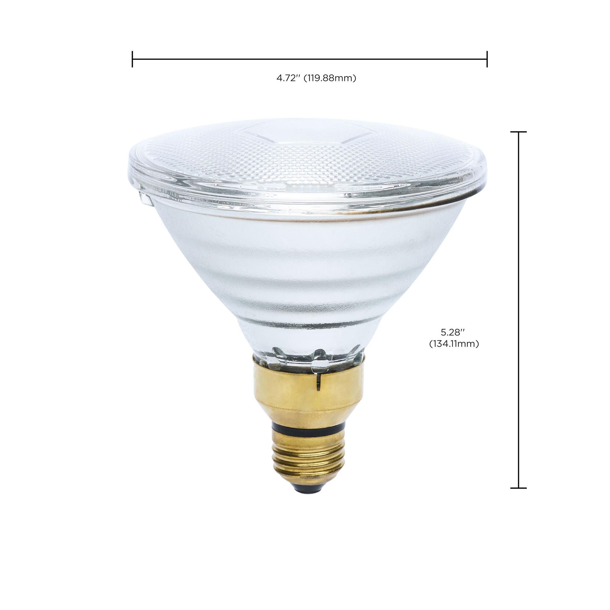 Dimmable 175 Watt 2700K PAR38 Incandescent Light Bulb,