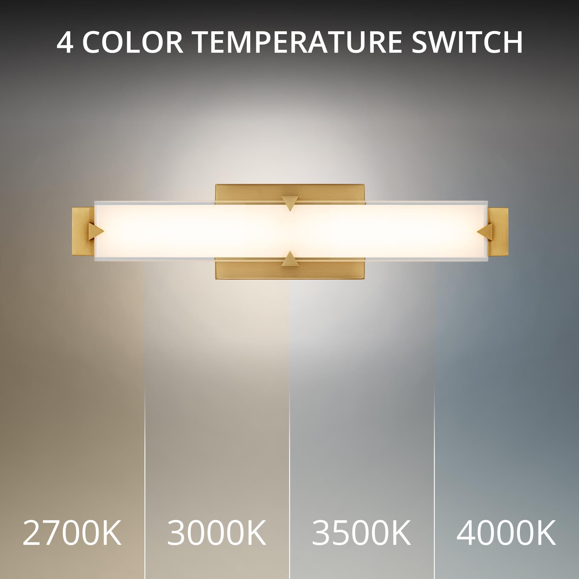 Carlisle 20 Inch Bath Vanity Light by Modern Forms