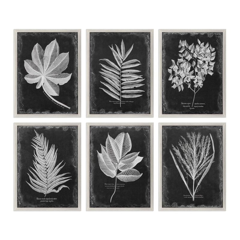 Foliage Print by Uttermost