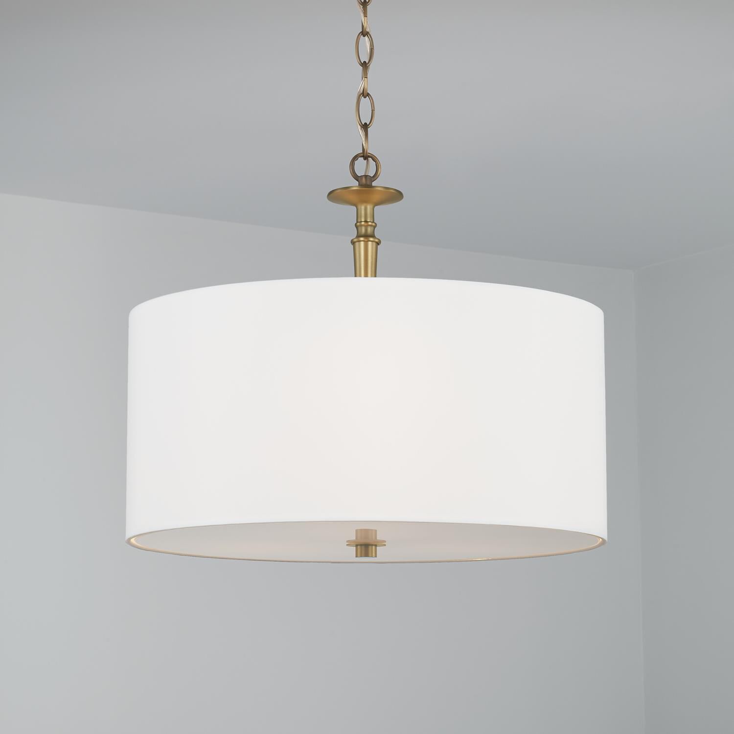 Abbie 19 Inch Large Pendant by Capital Lighting Fixture Company