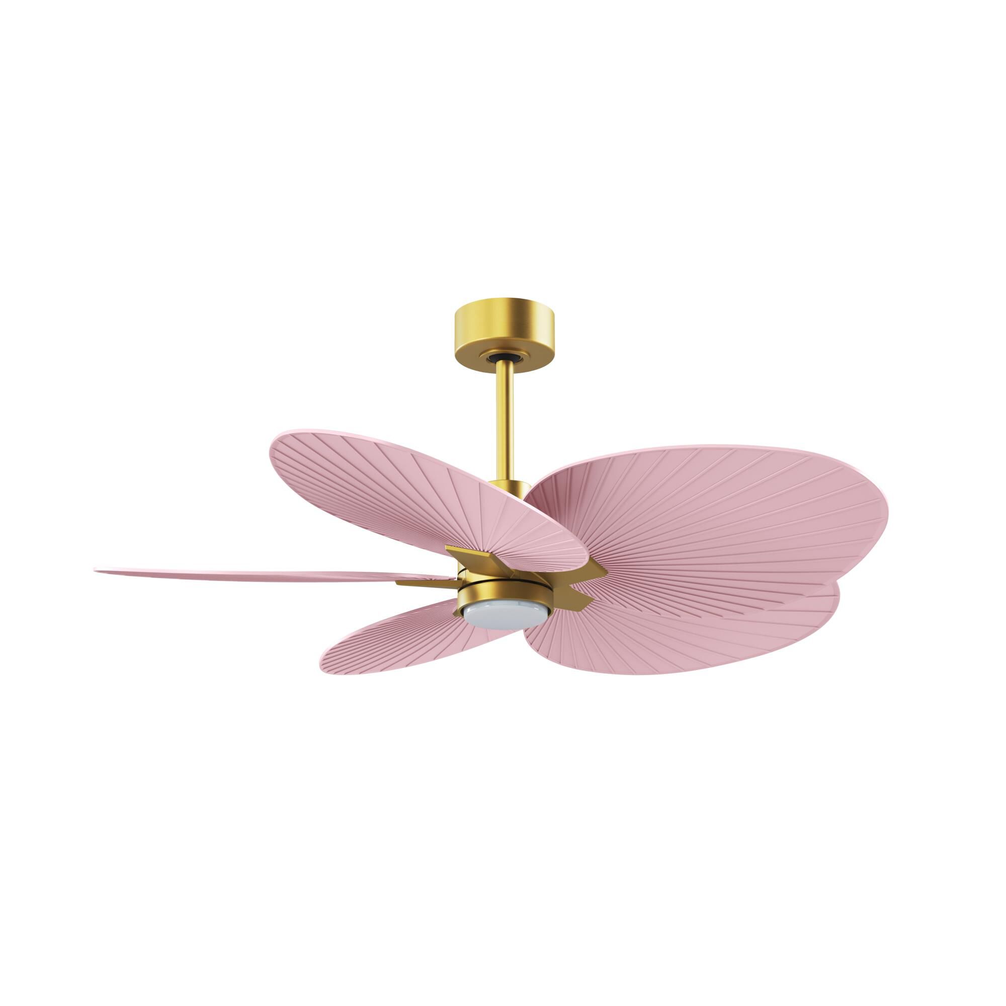 Alessandra Tropical Outdoor Rated 48 Inch Ceiling Fan with Light Kit by Matthews Fan Company