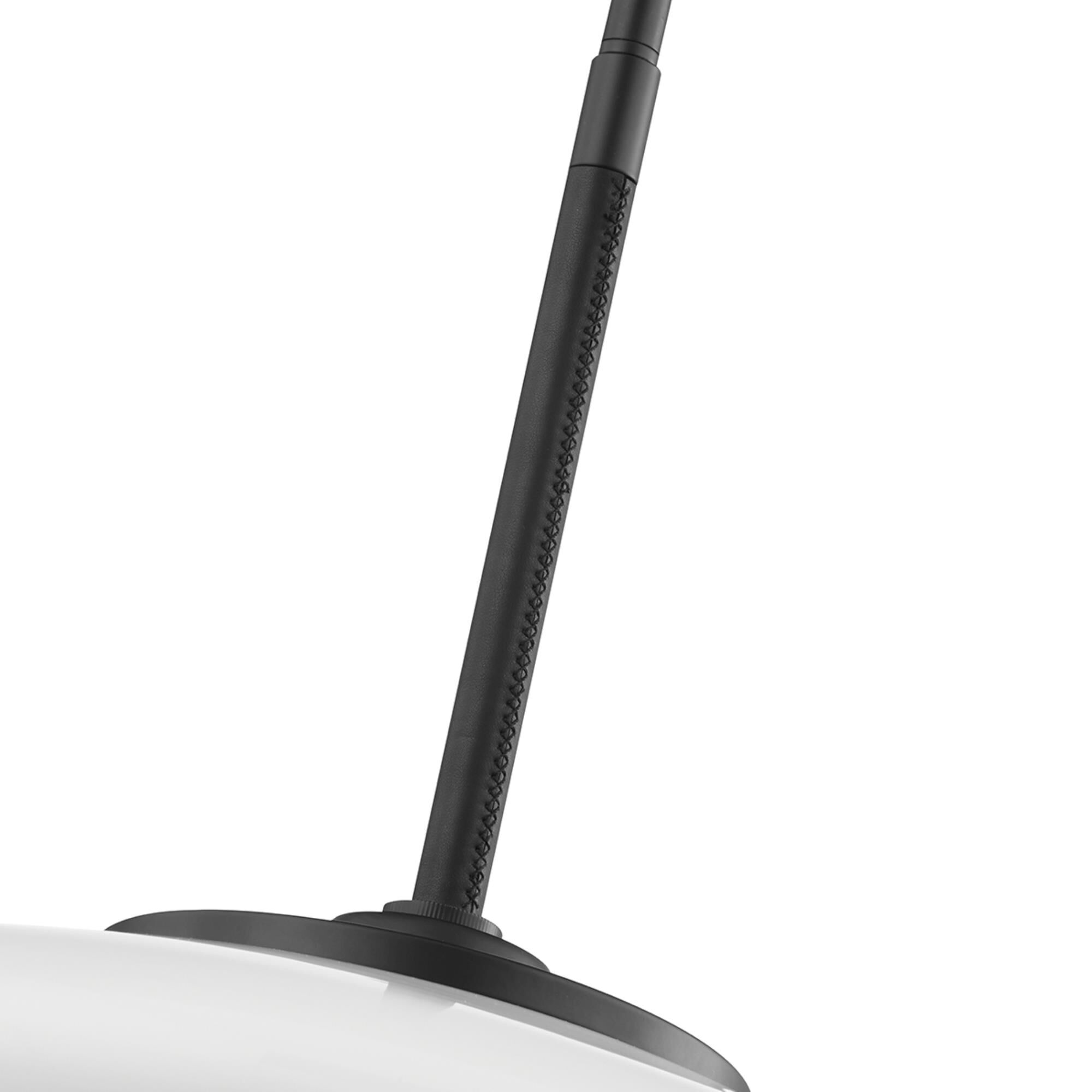 Fallon 18 Inch Large Pendant by Troy Lighting